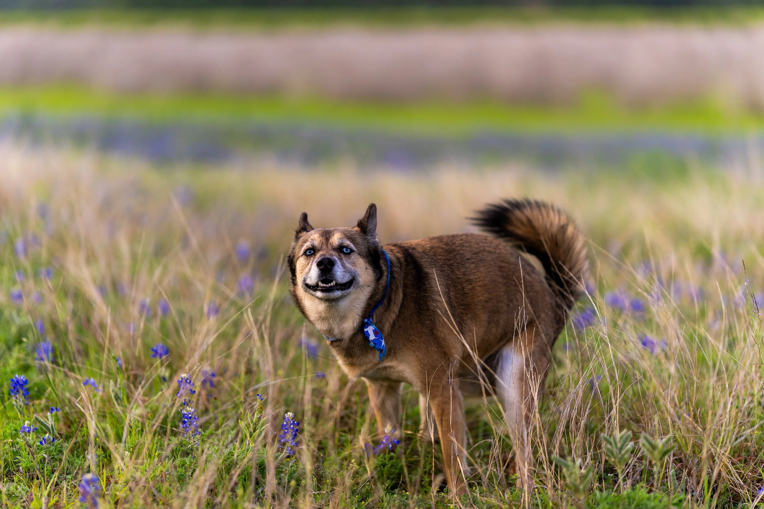 _DSC8077.jpg