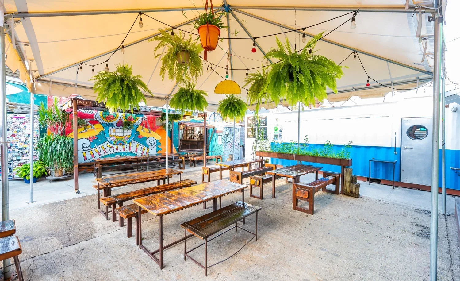 Empty outdoor patio with wooden benches and tables under a beige canopy, decorated with hanging green ferns, string lights, and colorful mural art in the background.