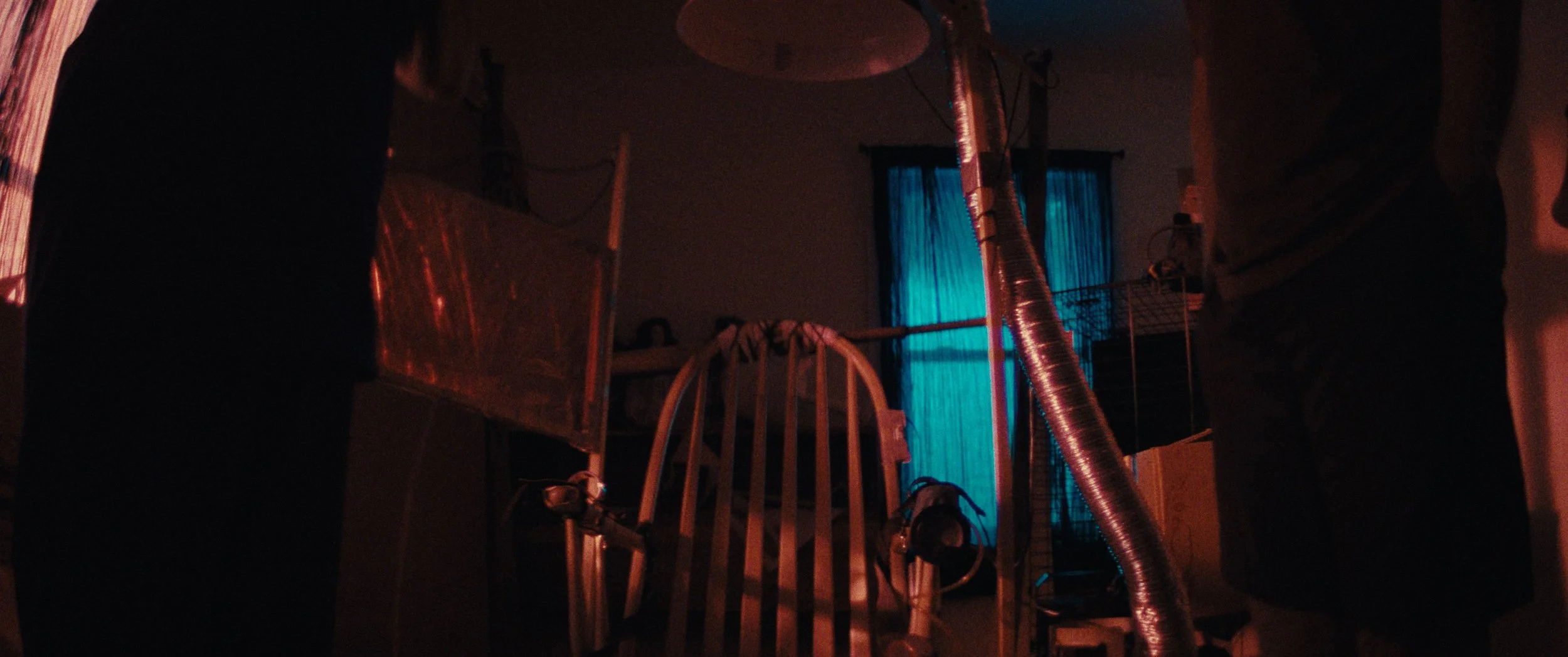 WAGMO Still_1.5.21.jpg