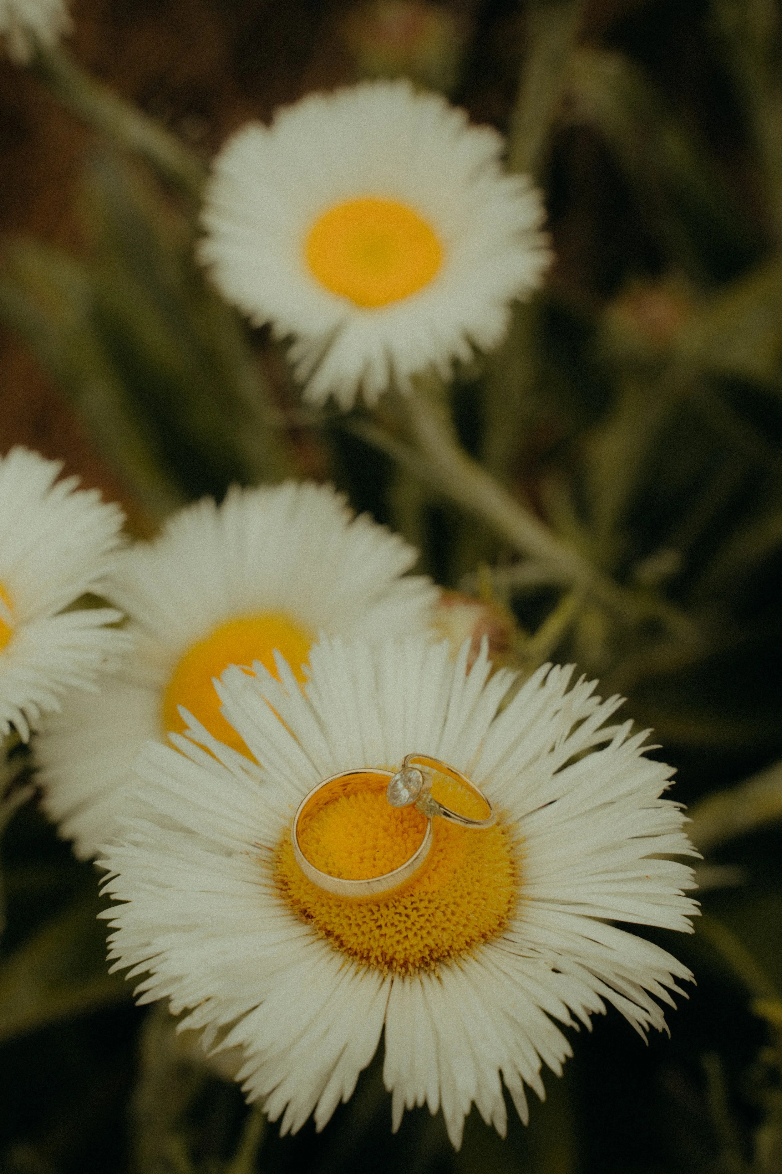 Joshua Yates Photography - Routeburn Elopement-518.jpg