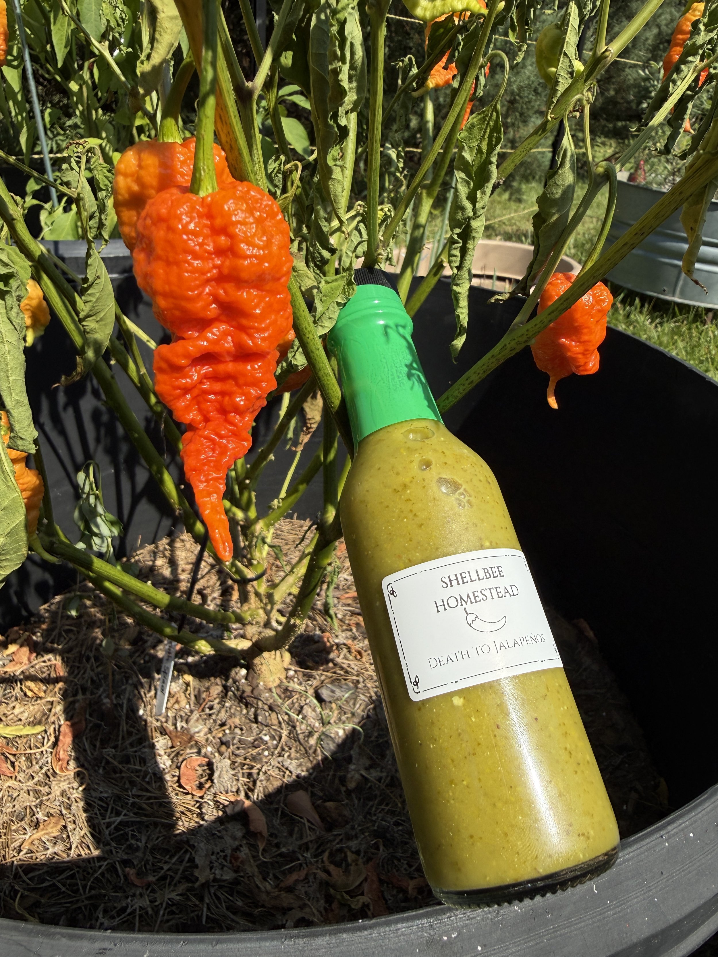 DEATH to the Jalapeno Hot Sauce