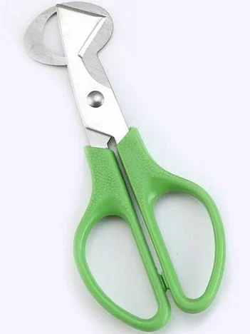 Quail Egg Scissors