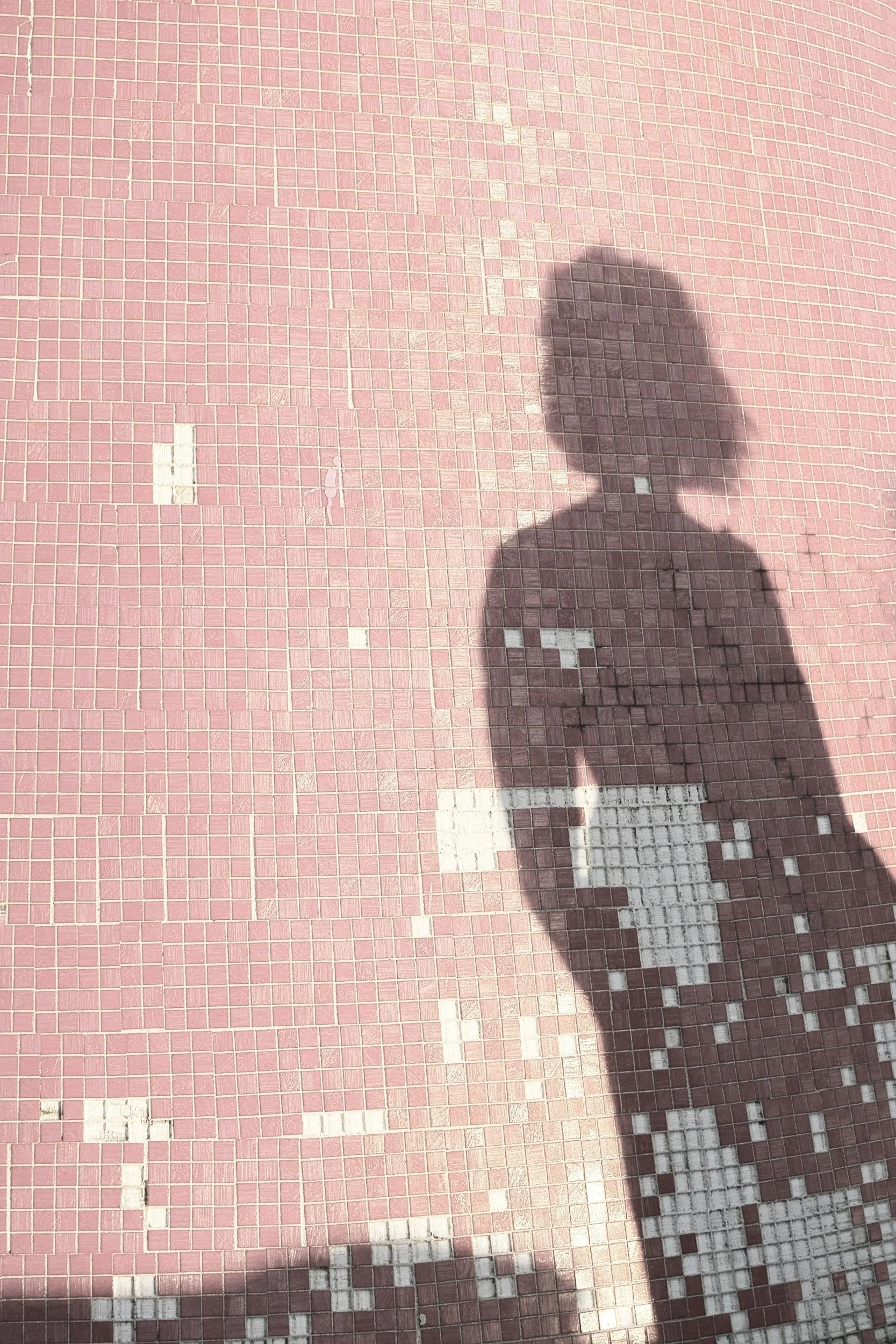 Shadow of a person taking a photo on a pink tiled surface with a pixelated white figure.