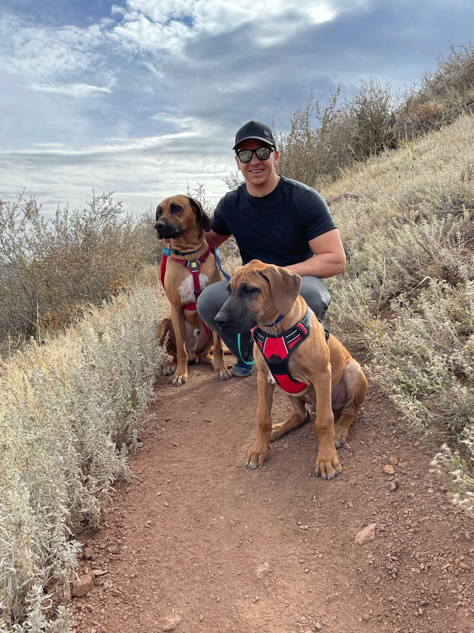A man in sunglasses and a black cap kneels on a dirt trail with two brown dogs wearing harnesses in a hilly natural setting with dry shrubs and a cloudy sky.