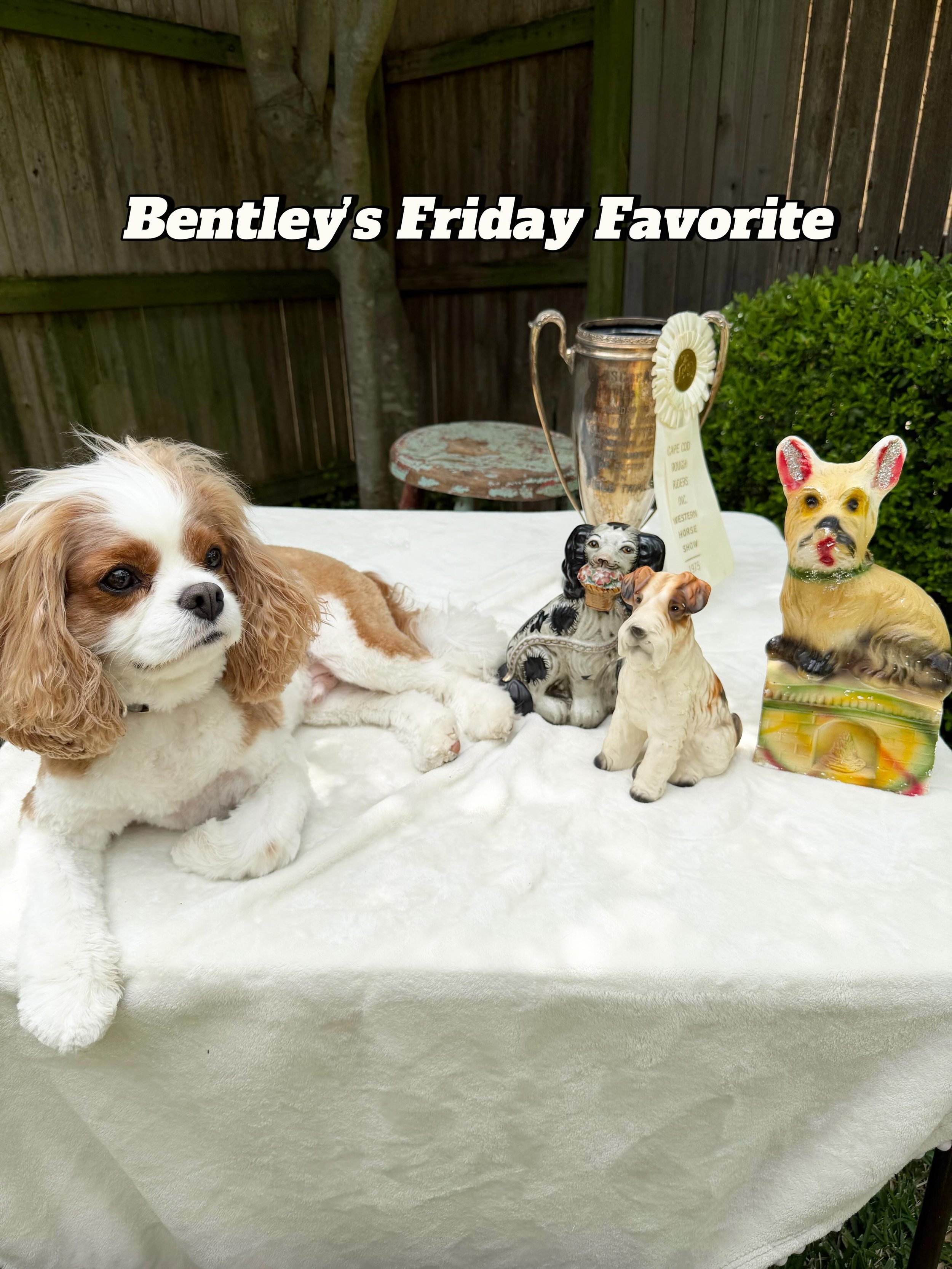 💖 Happy Friday! Bentley&rsquo;s Friday Favorite(s) are these dog statues! How cute for a bookcase or to gift to a dog lover. Available now on our Etsy!