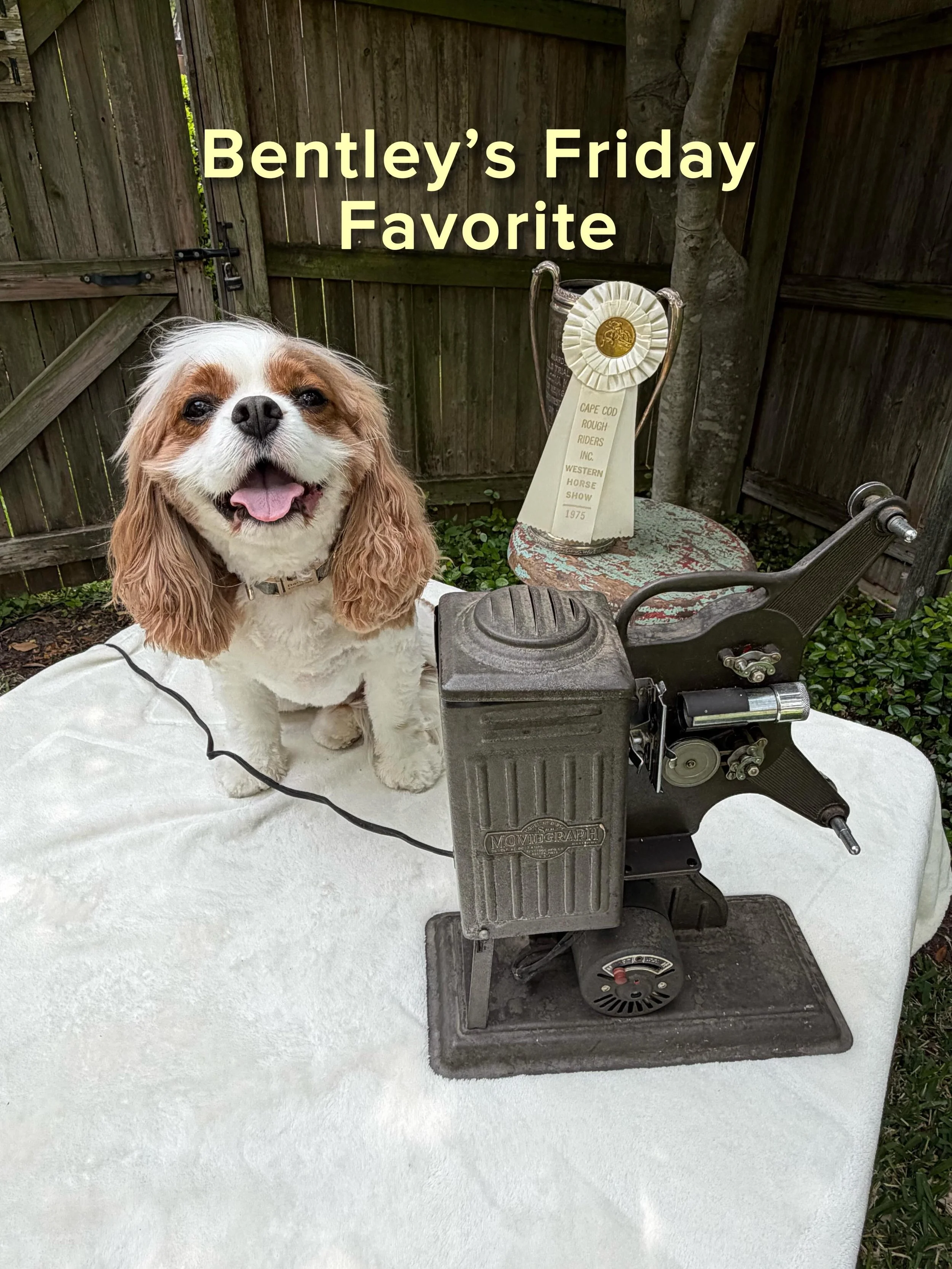 It&rsquo;s Friday! Bentley&rsquo;s Friday Favorite is this vintage 1930s Keystone movie film projector. Such a cool find!

Shop our Etsy for more unique vintage finds at the link in our bio.