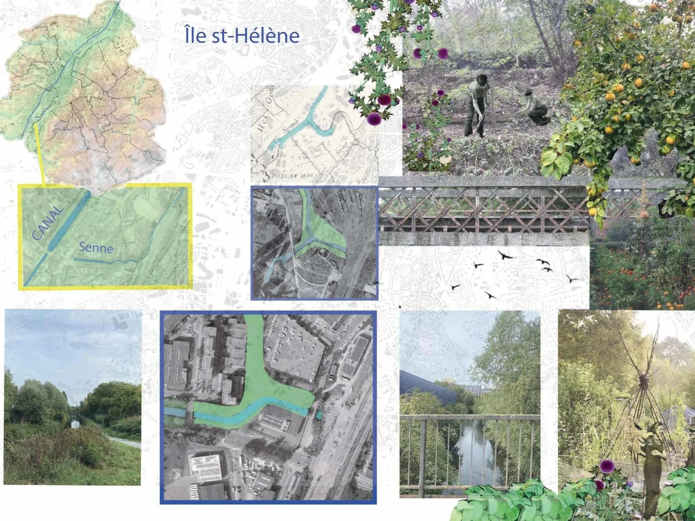 Brussels - Île Ste-Hélène- former branch of the Senne: landscape study for Brussel Leefmilieu