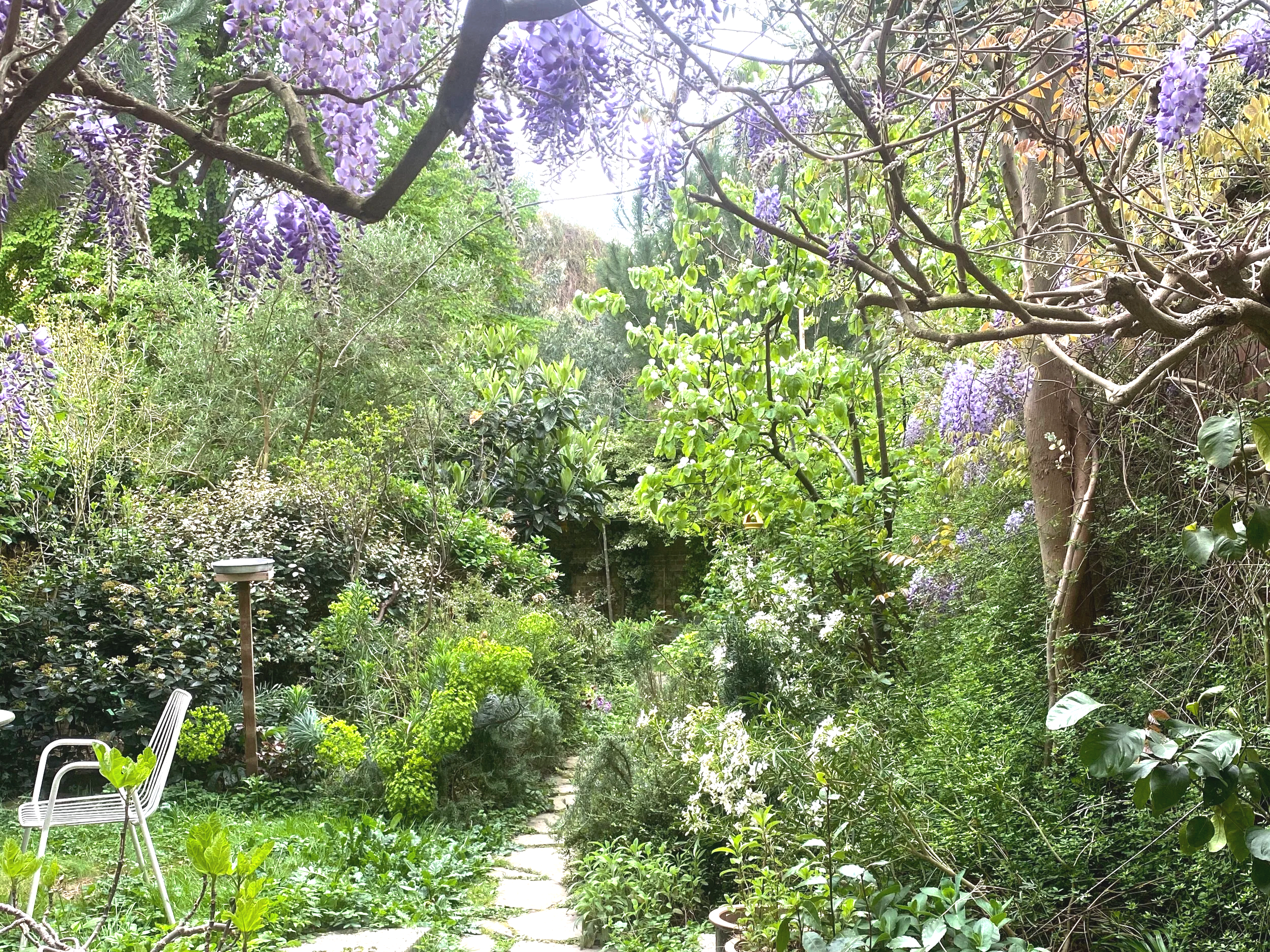 Laken - the wild modernist garden