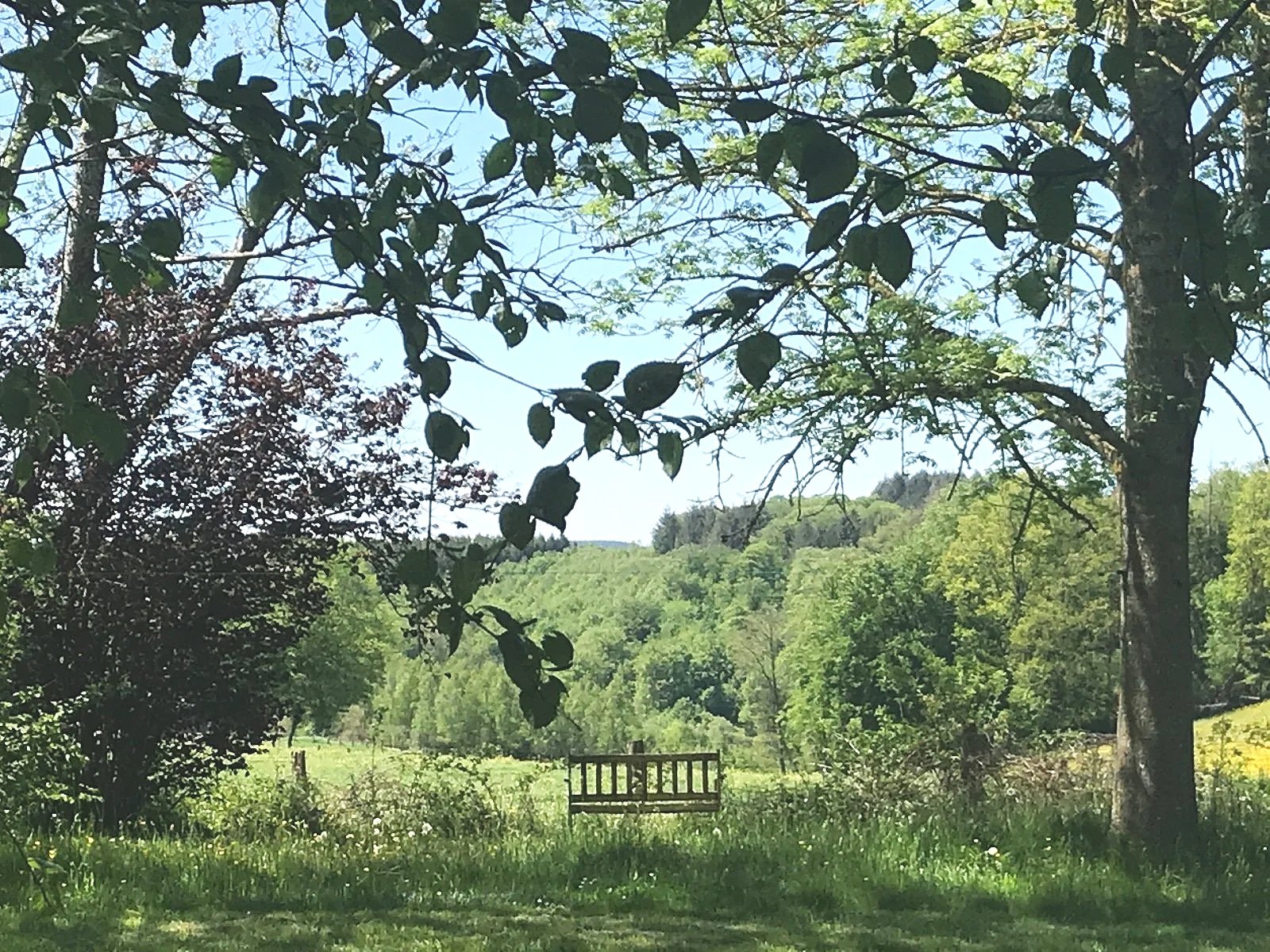 Cetturu: landscape/garden
