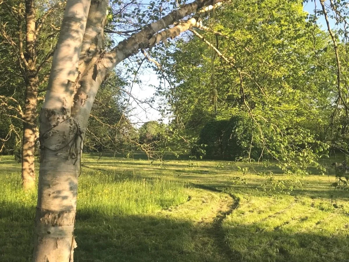 Houffalize: Sinus - landscape