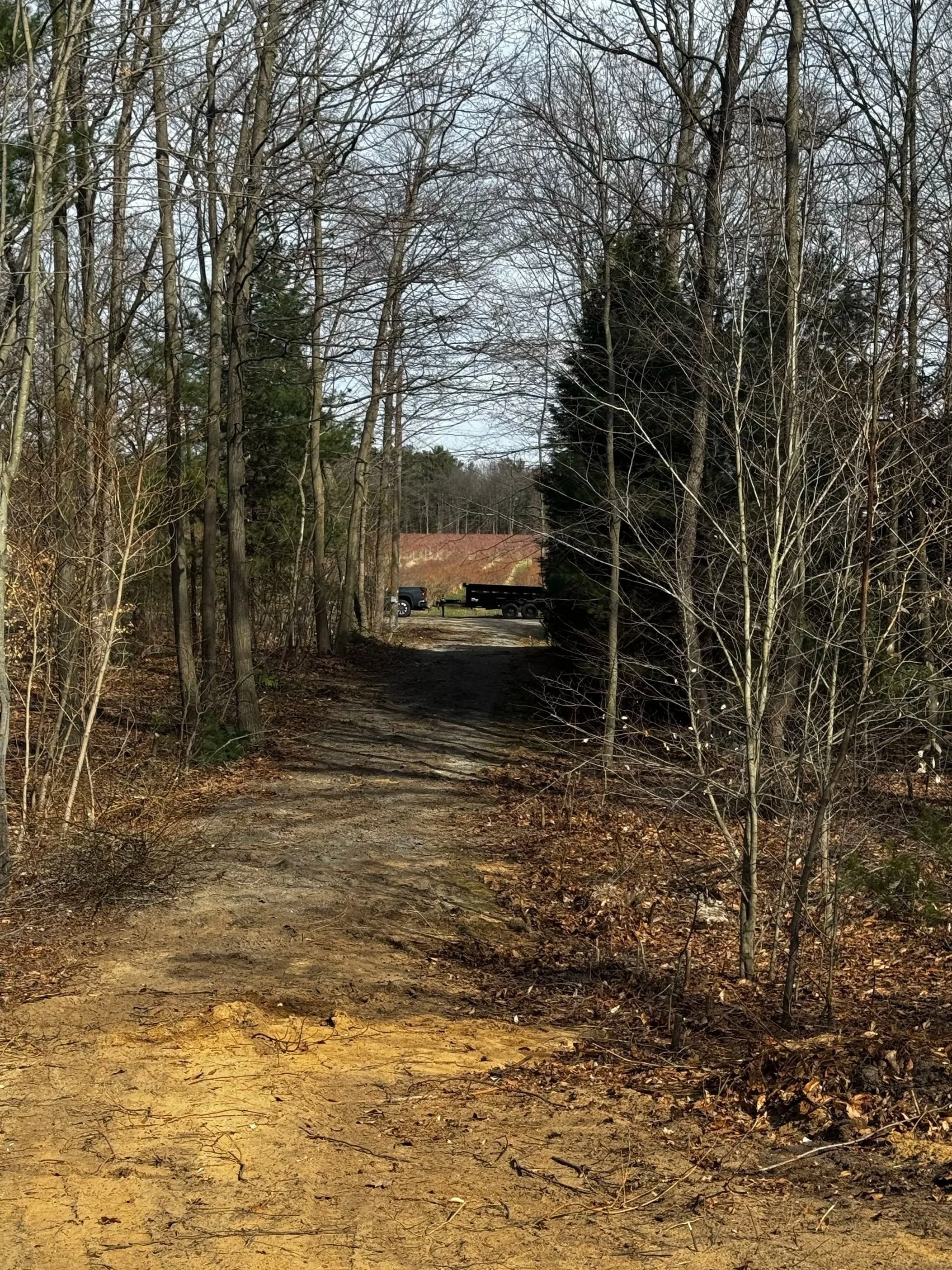 A dirt path in a wooded area with bare trees, leading to a gravel road with a parked truck and trailer in the distance under a blue sky.