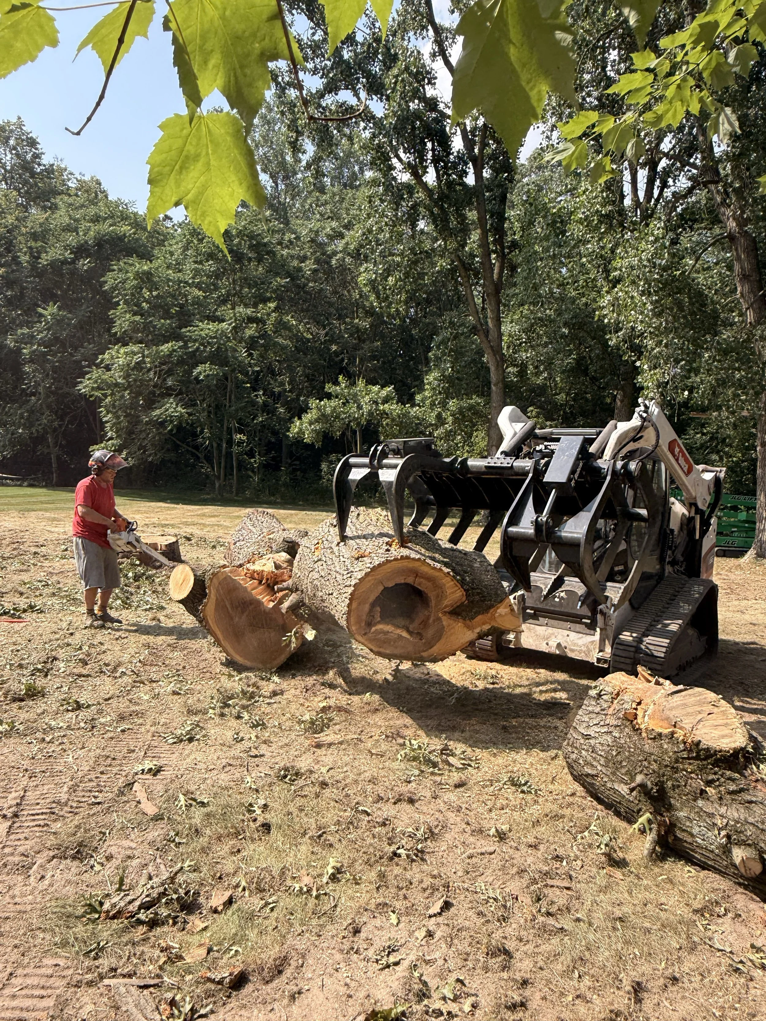 Tree Removal - Thornapple, MI