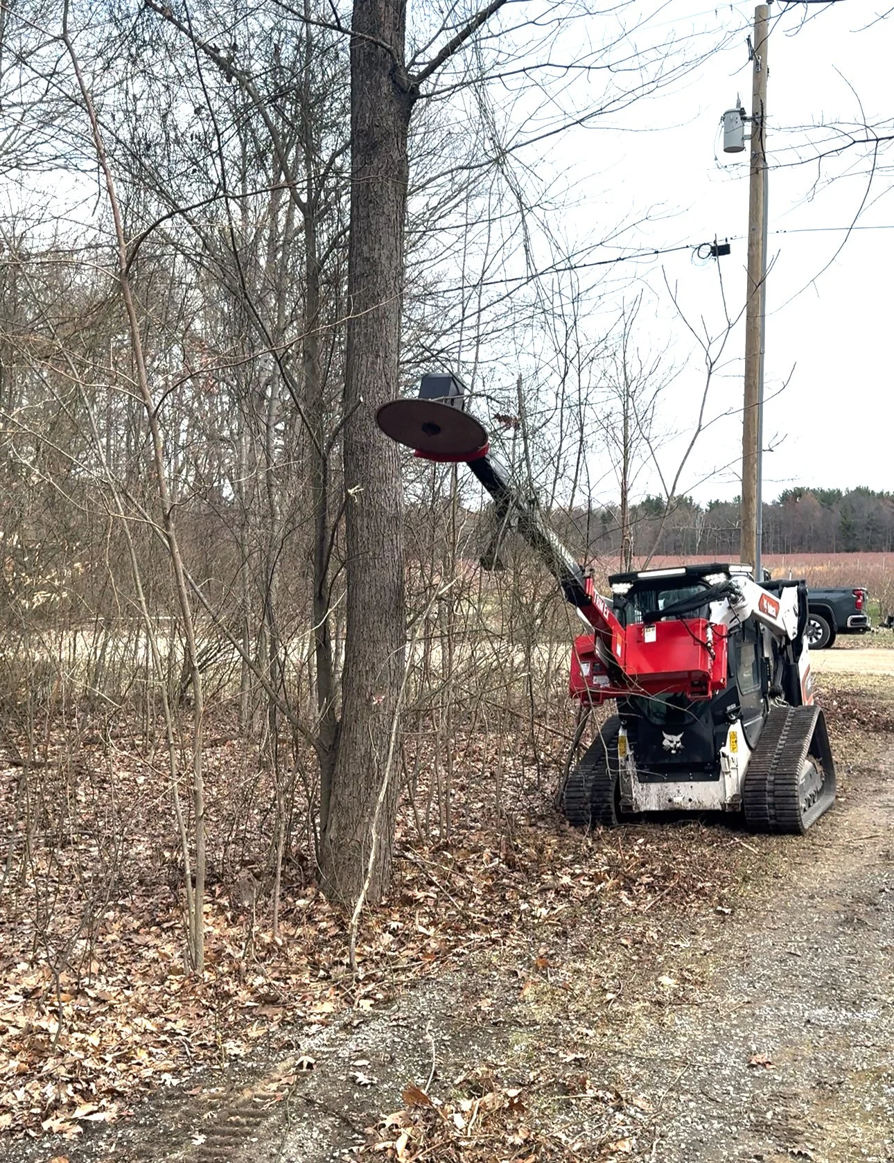 A small tracked Bobcat forestry mulcher with a brush attachment is cutting trees and brush near a utility pole and power lines in a wooded area.