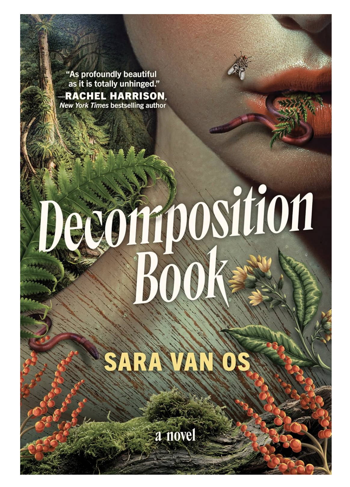 Decomposition Book - by Sara Van Os (Hardcover)