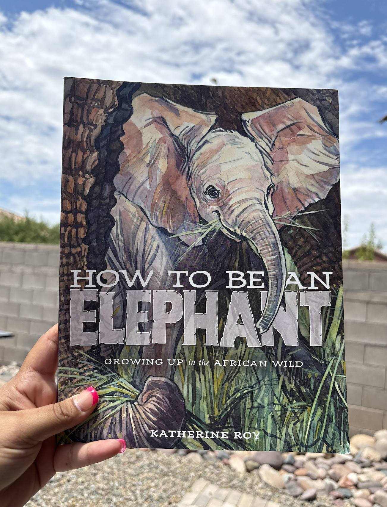 How to Be an Elephant - Katherine Roy
