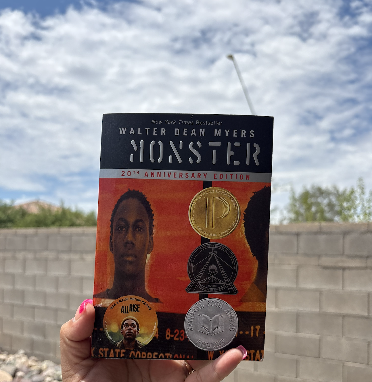 Monster - Walter Dean Myers