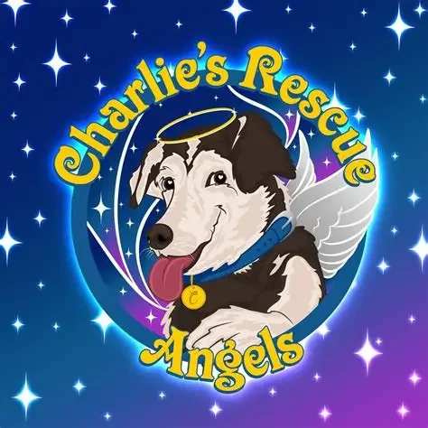Charlie's Rescue Angels