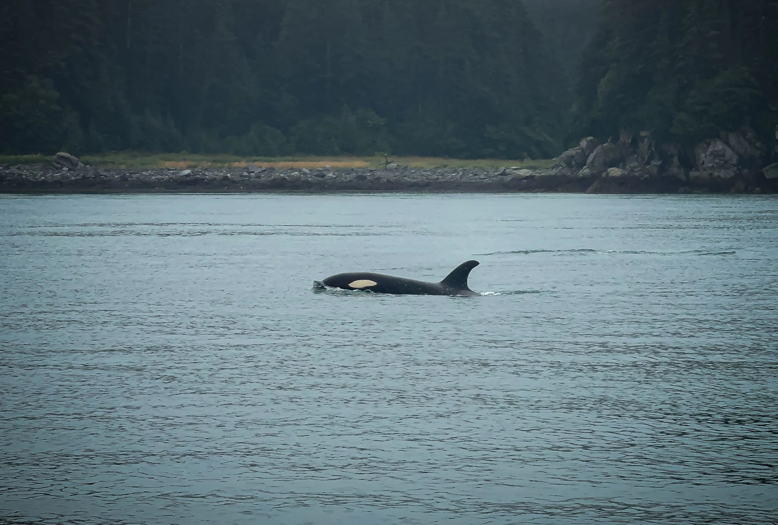 Three Weeks on Land… and Already Ready to Get Back to Alaska