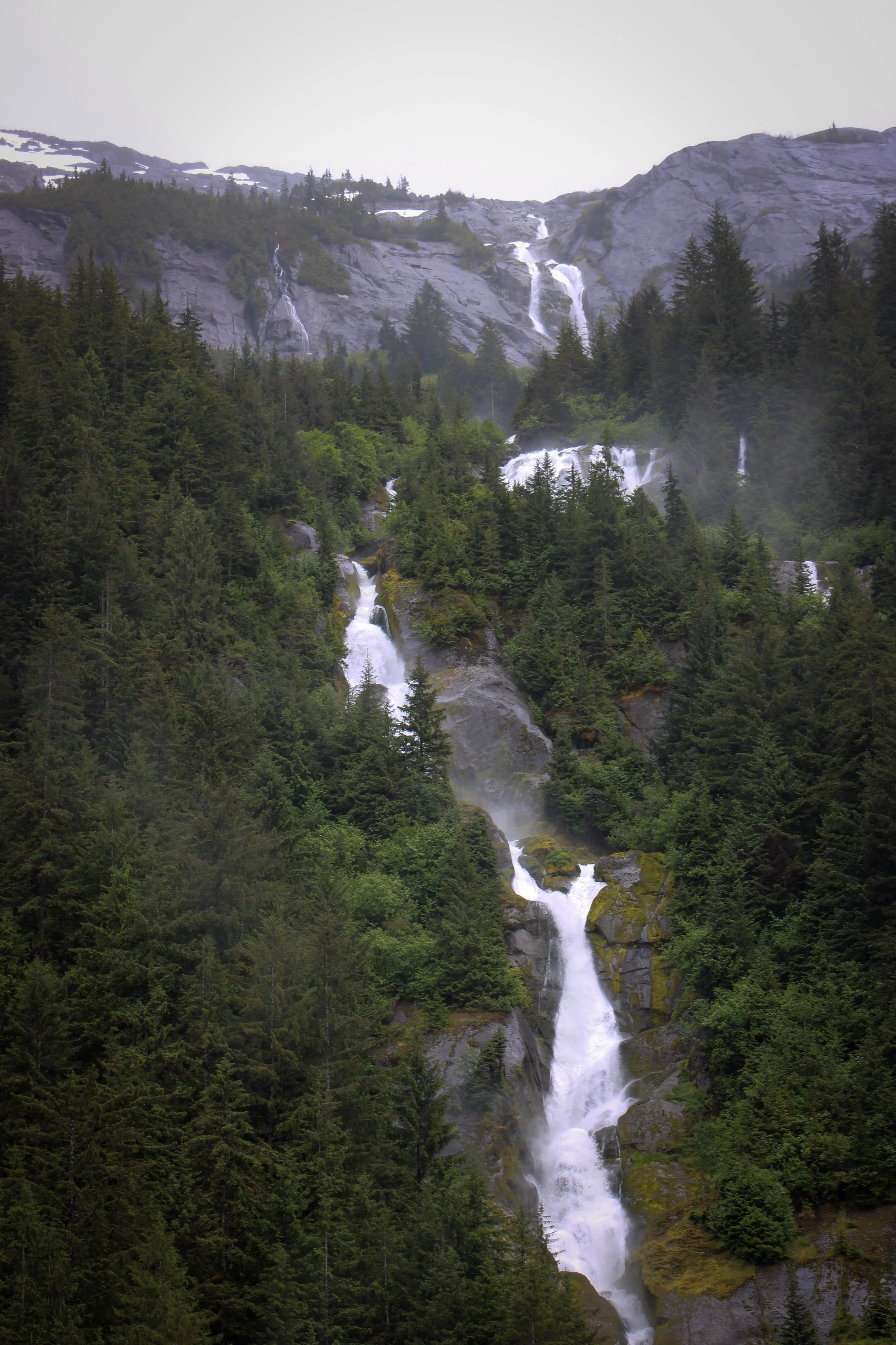 IMG_4273.jpg