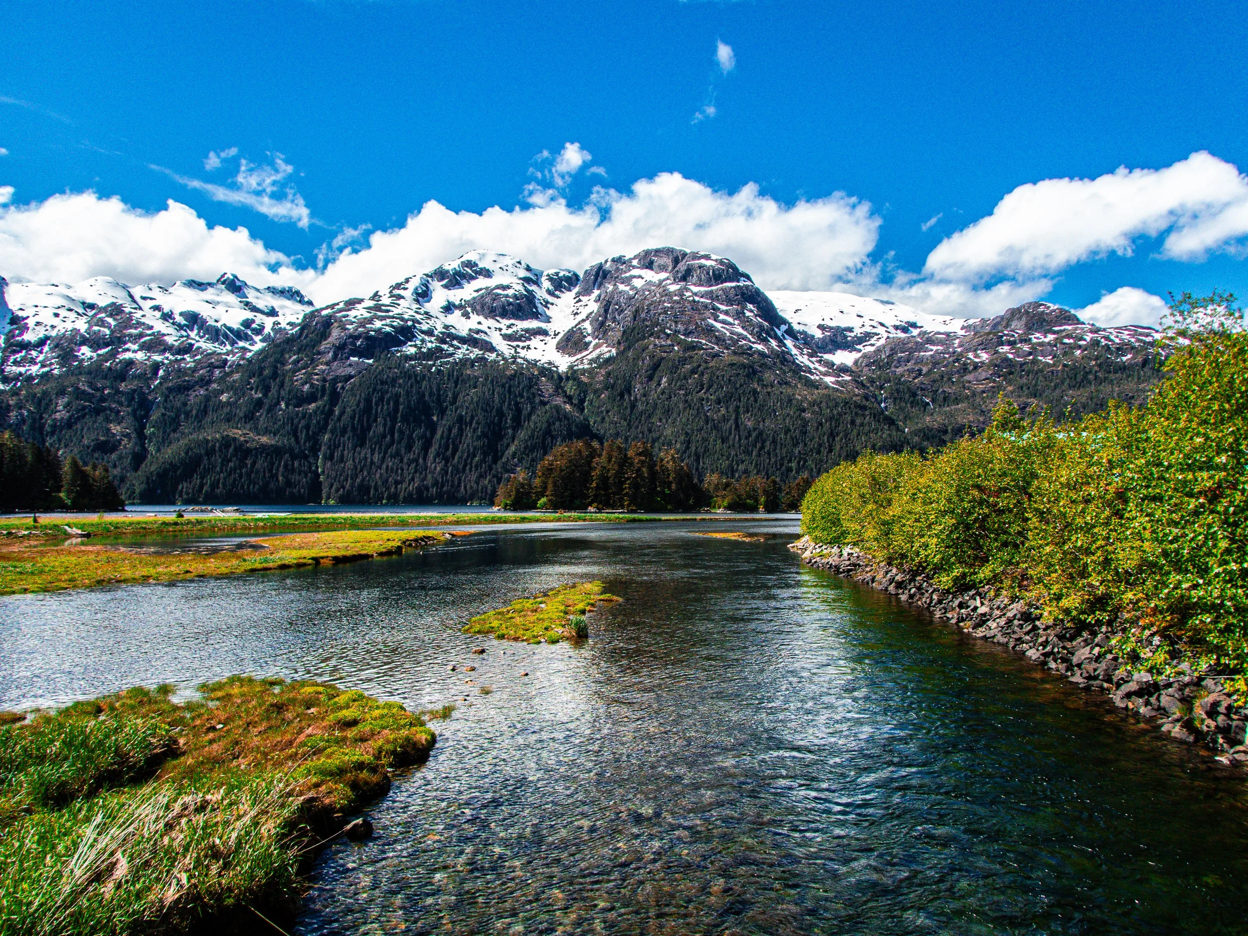 P6040122-2.jpg