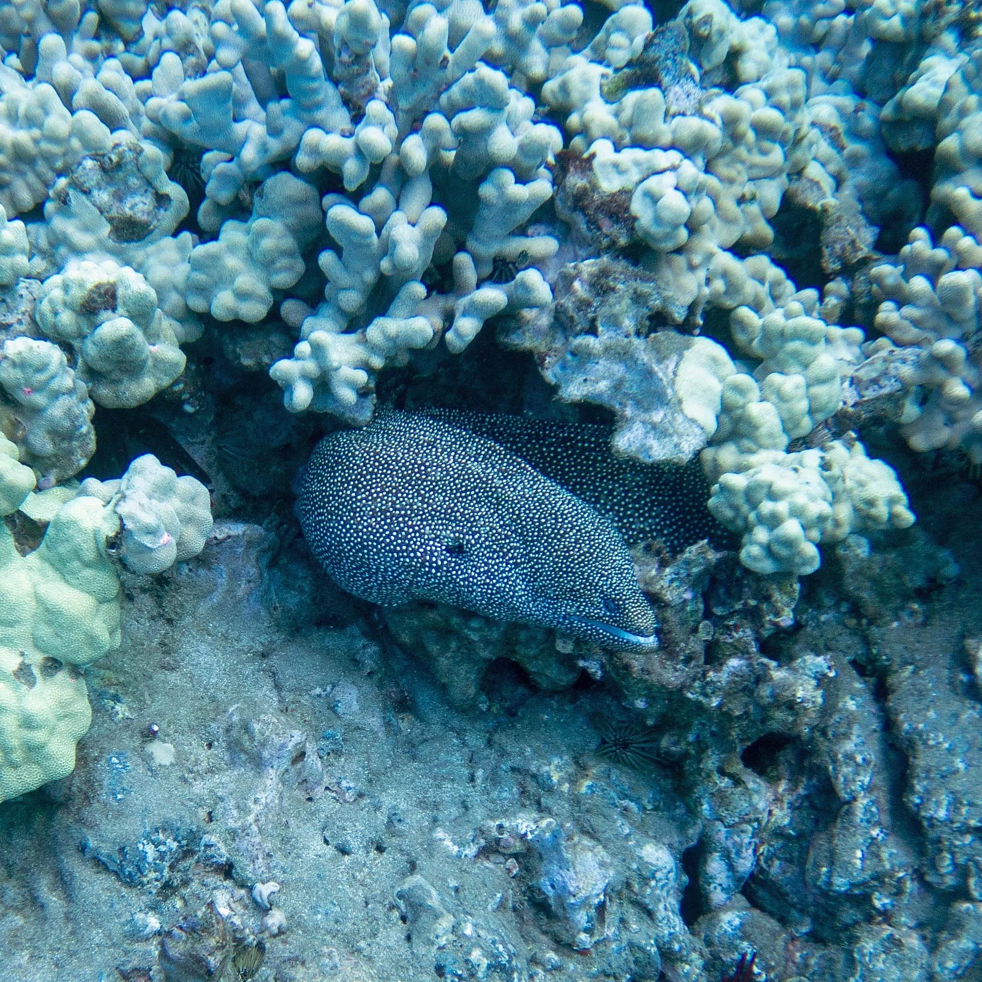 PA030076.jpg