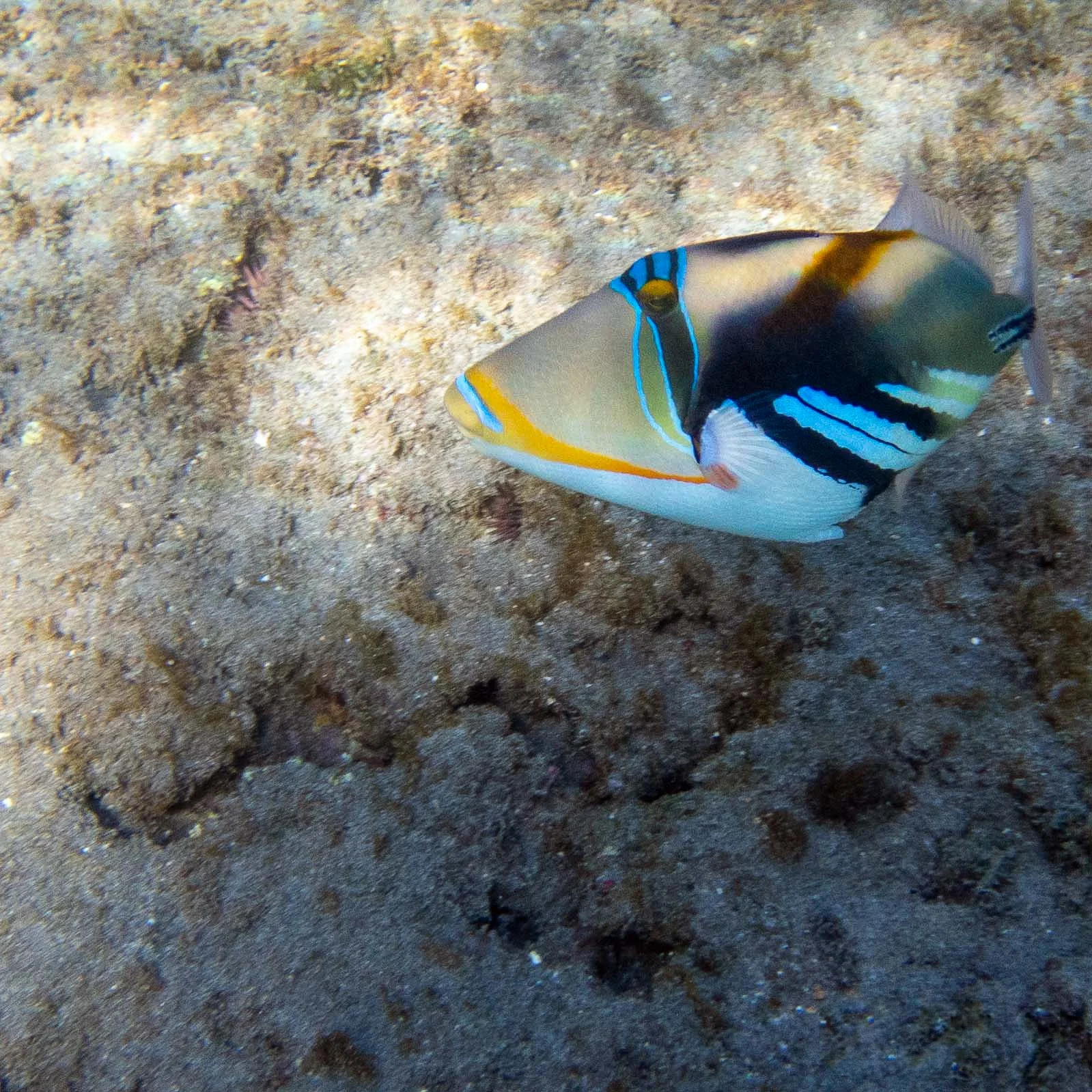 PB210055.jpg