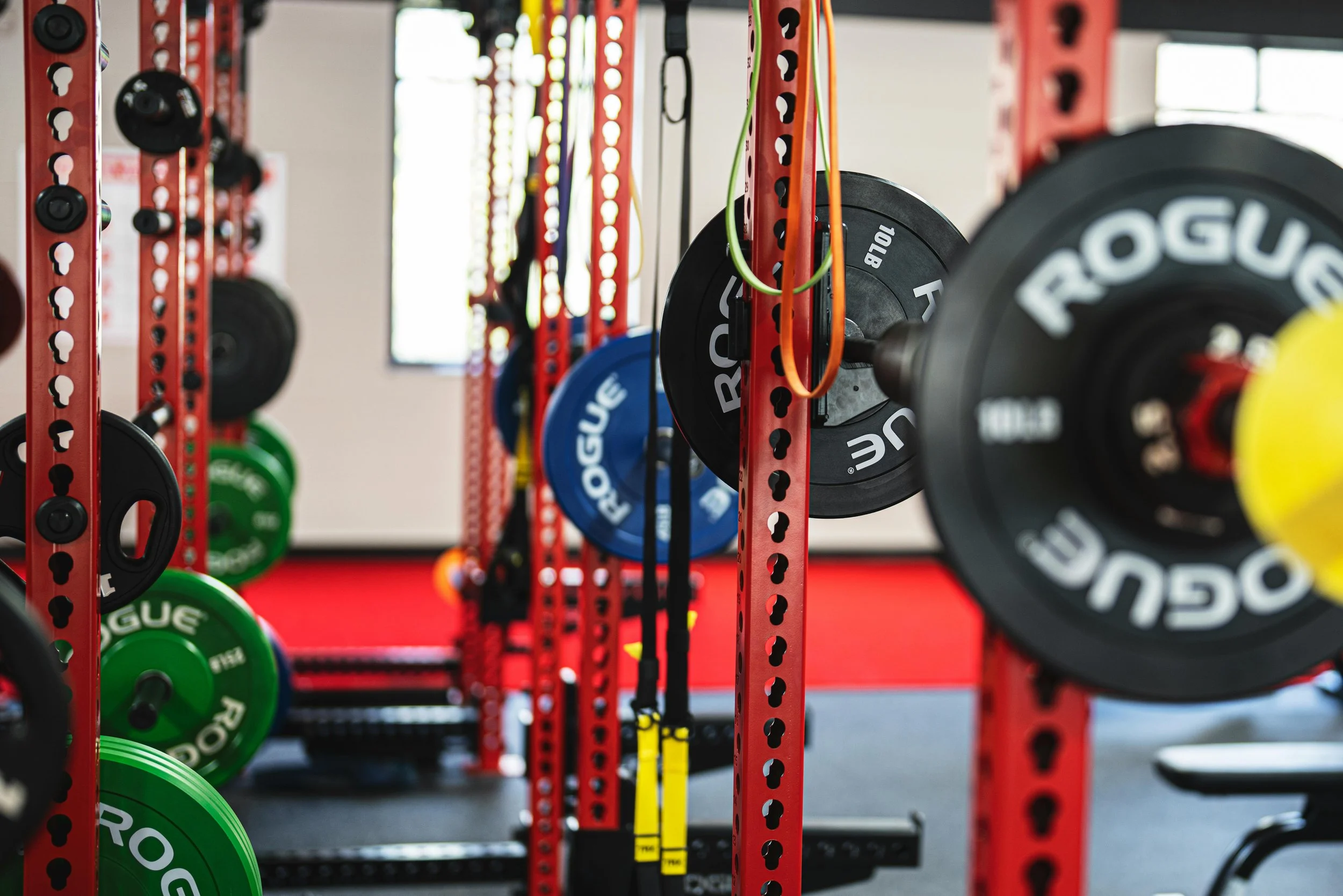 Inside a gym with red weight racks holding black, blue, green, and yellow weight plates with the brand name 'Rogue' visible, along with orange and green resistance bands hanging from the racks.