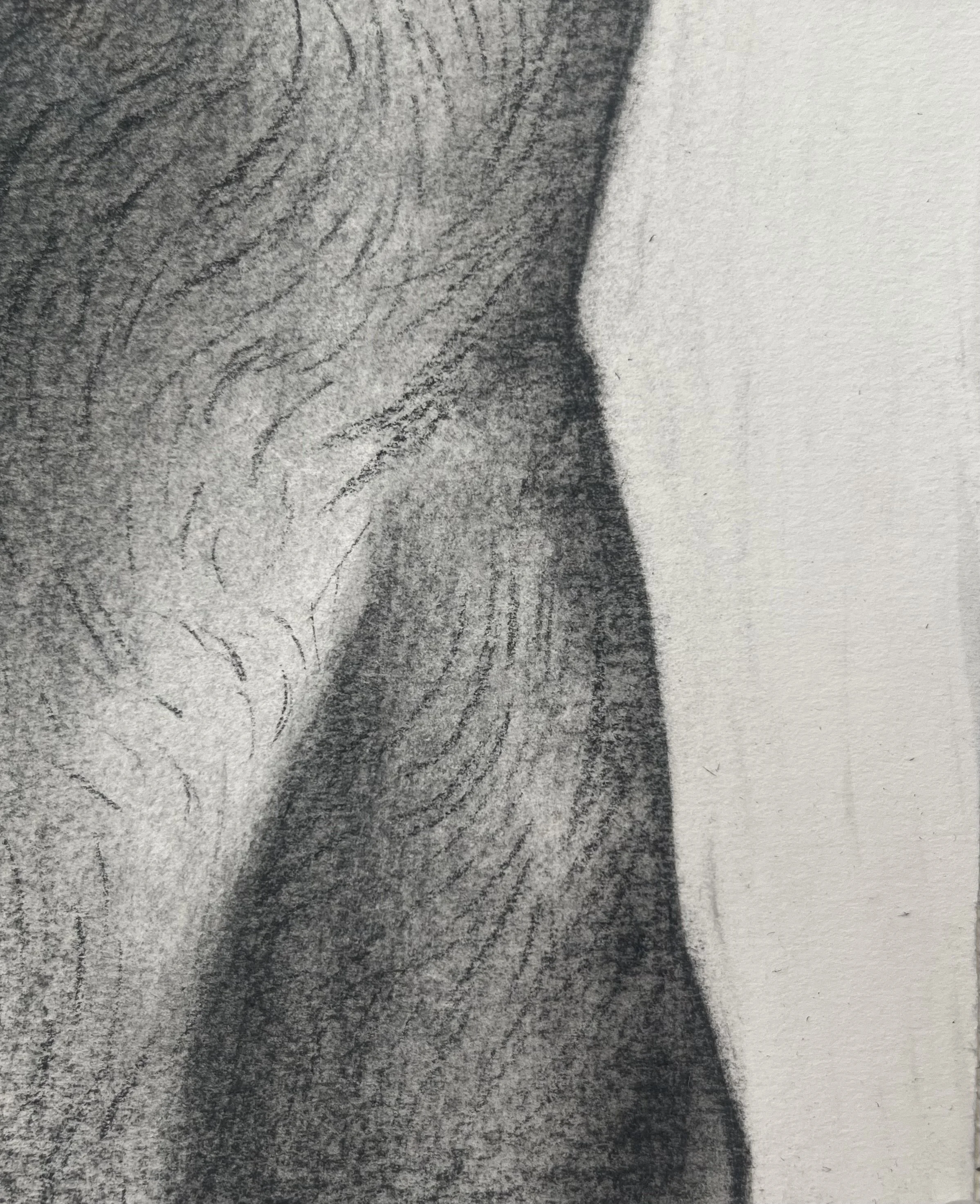 Untitled from Landmarks series, 2025, Charcoal on paper, 4" x 6"