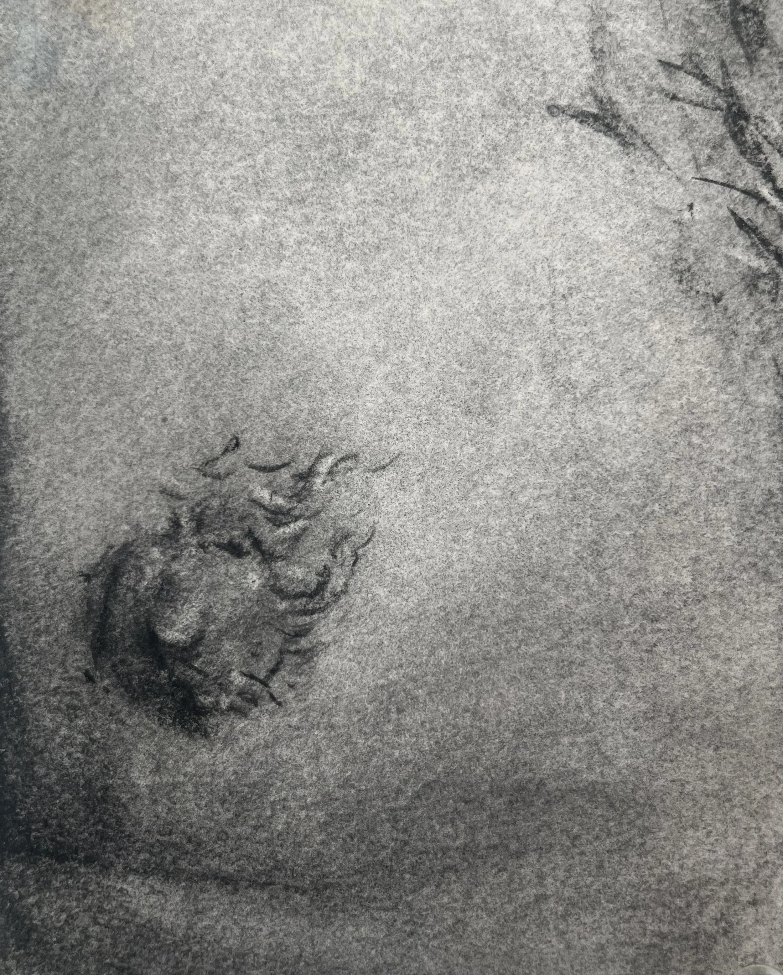 Untitled from Landmarks series, 2025, Charcoal on paper, 4" x 6"