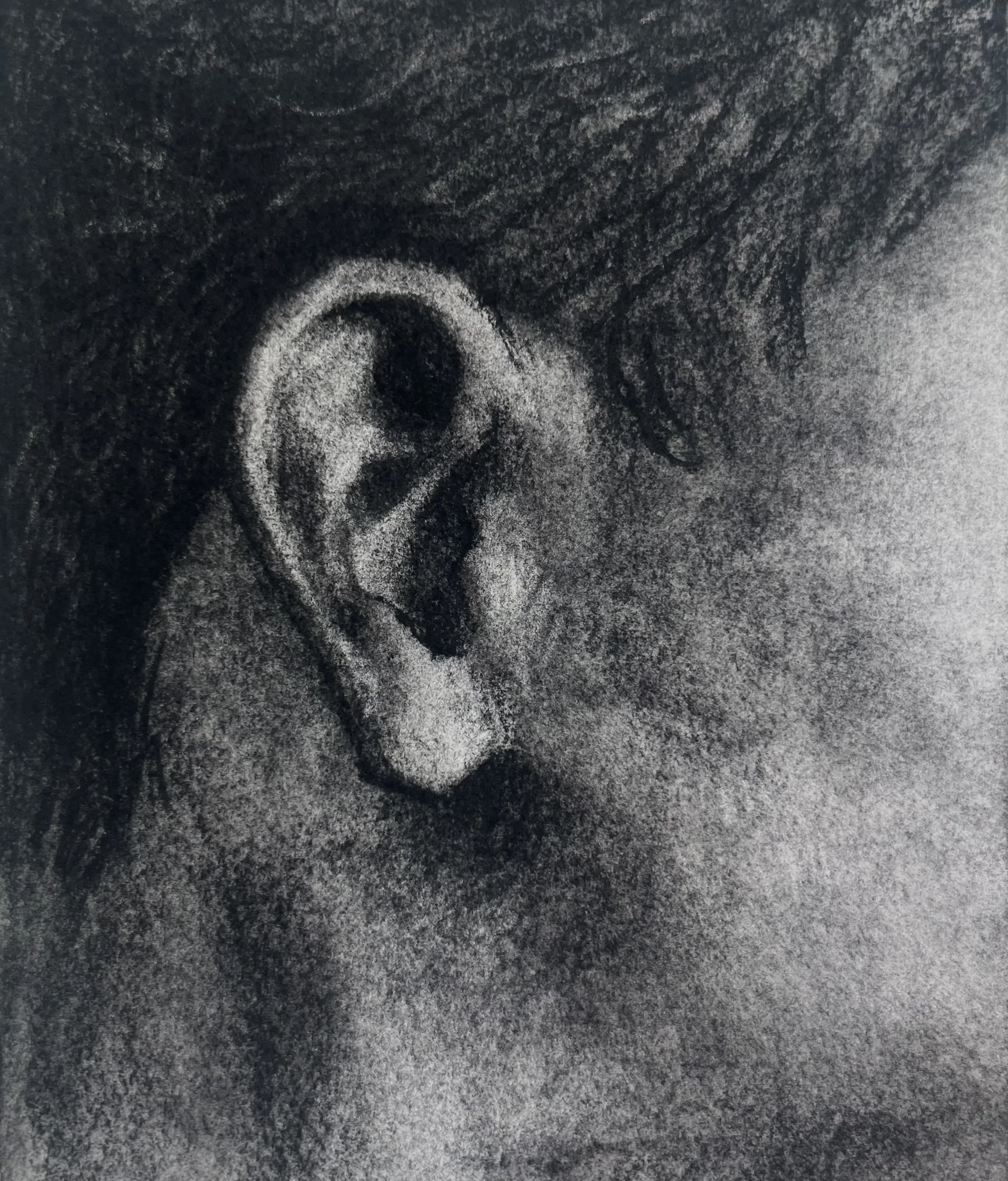 Untitled from Landmarks series, 2025, Charcoal on paper, 4" x 6"