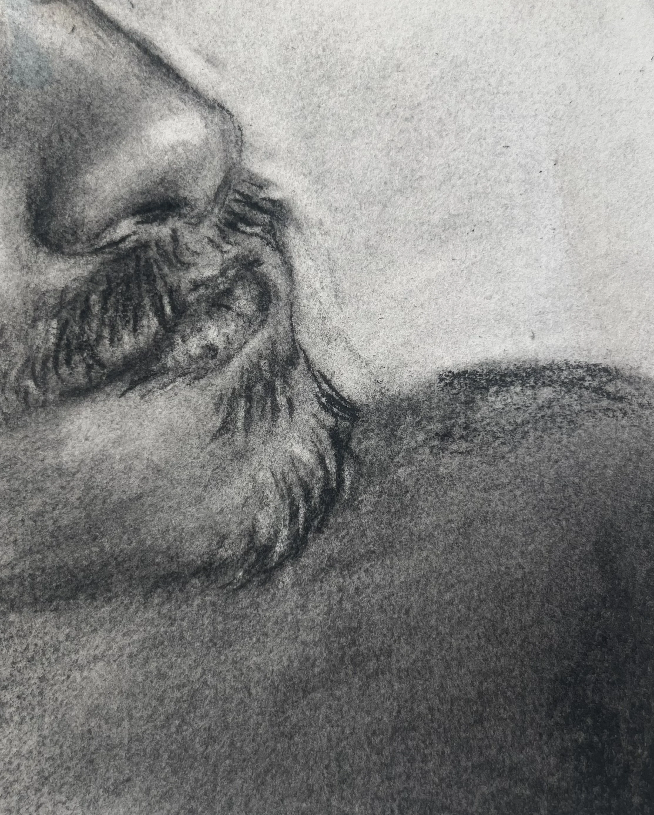 Untitled from Landmarks series, 2025, Charcoal on paper, 4" x 6"
