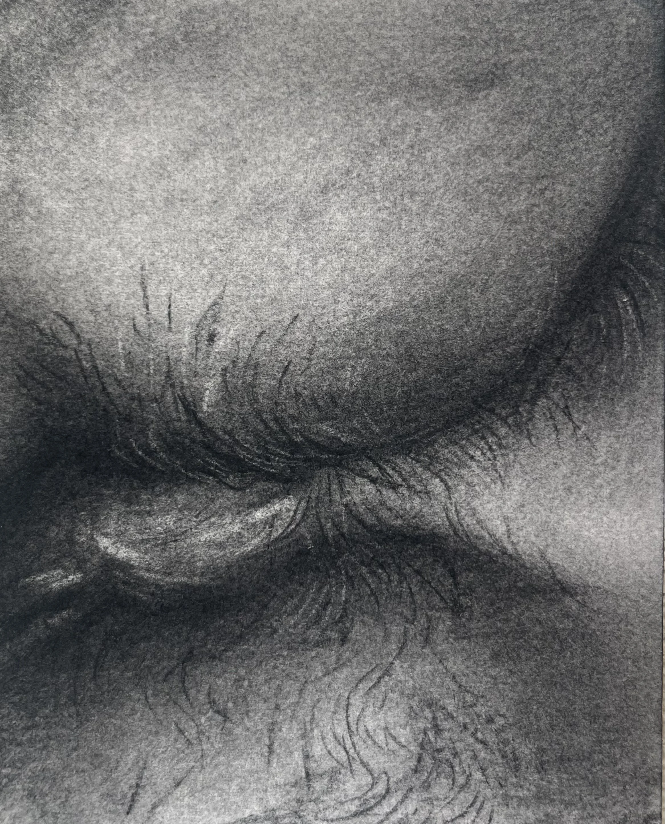 Untitled from Landmarks series, 2025, Charcoal on paper, 4" x 6"