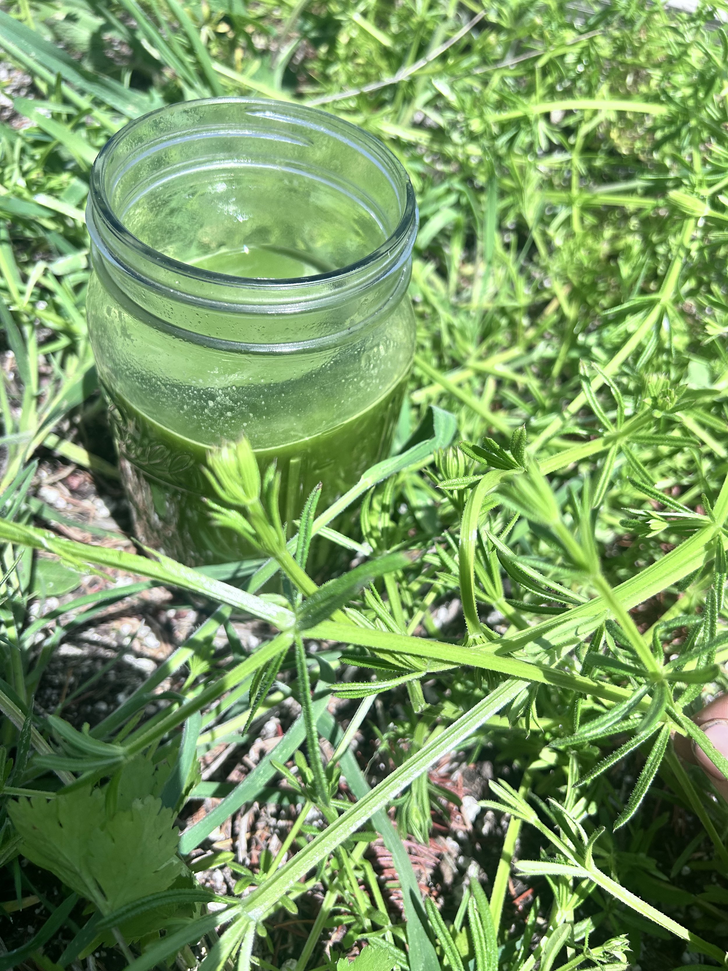 The Spring Cleanse: An Age-Old Wellness Tradition 