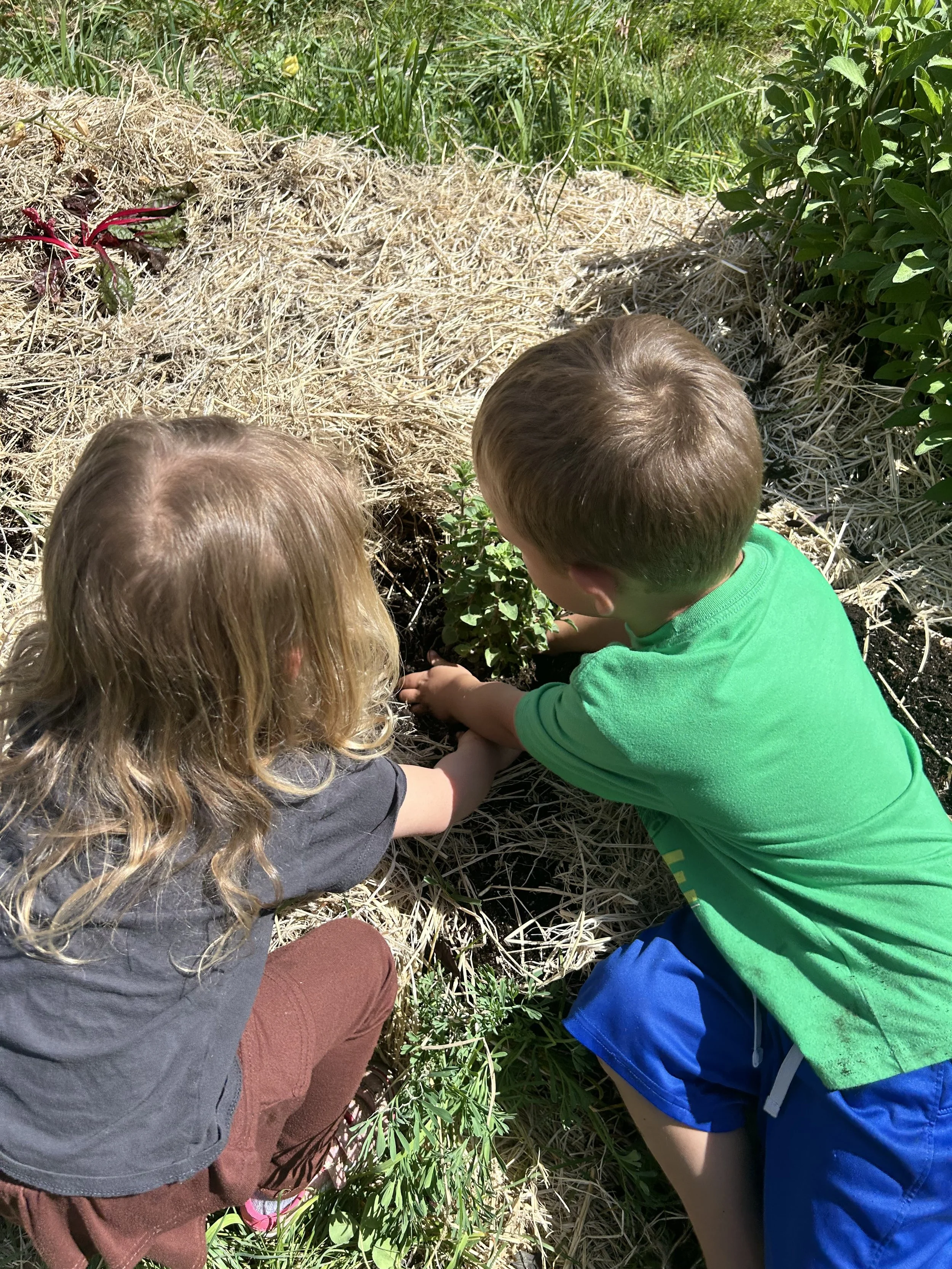 Gardening at a rural School 