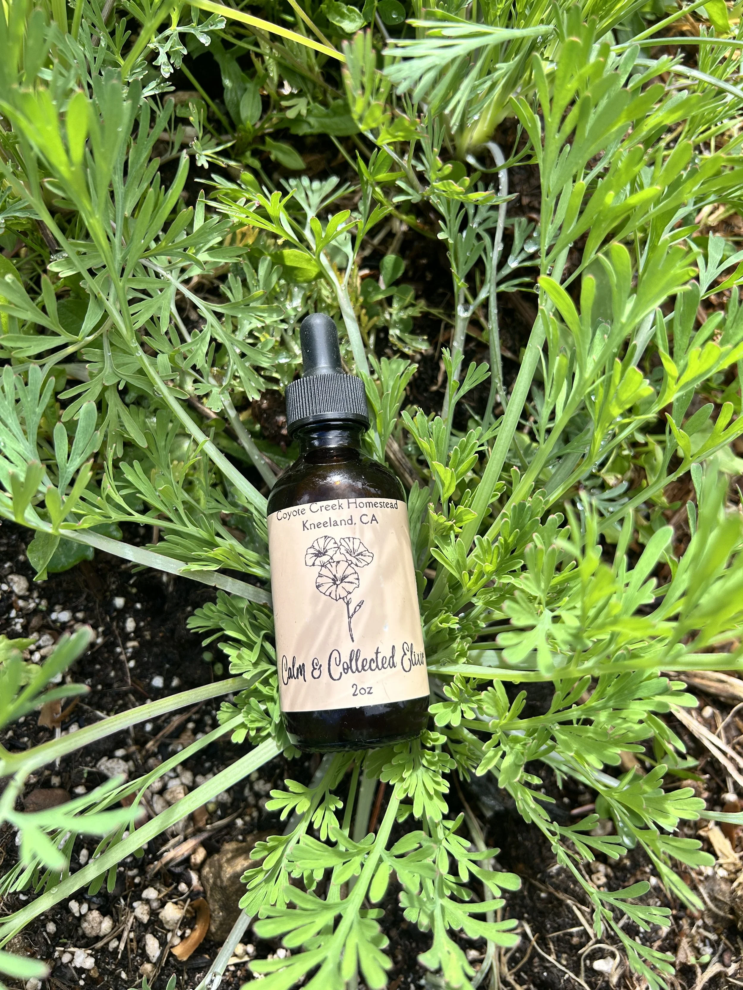 Calm and Collected Elixir