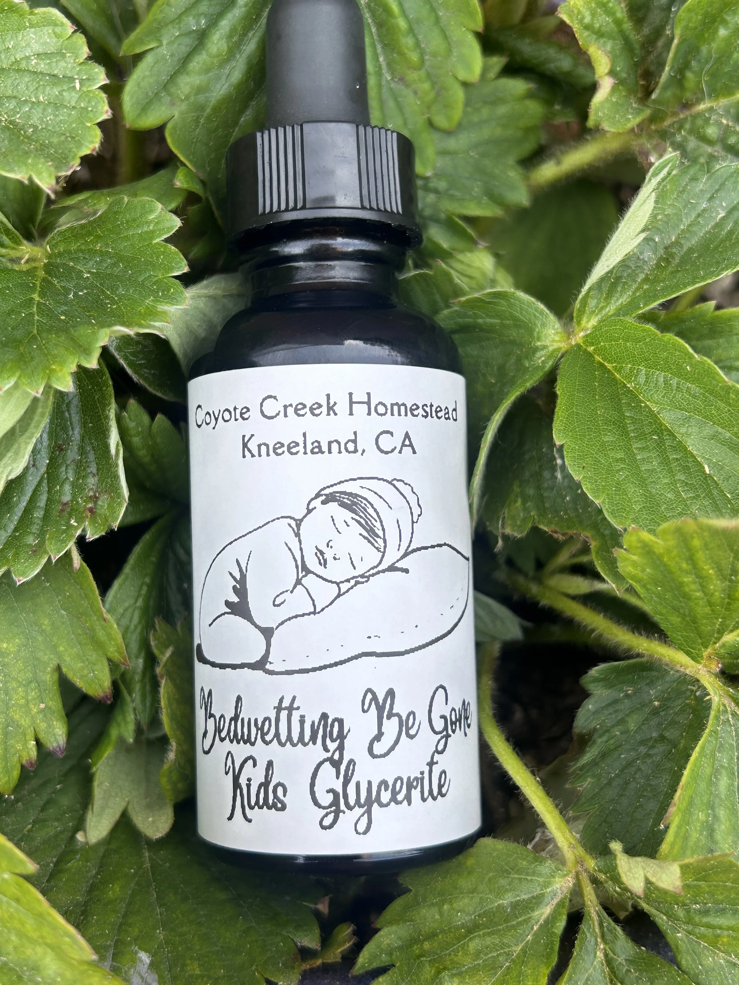 Bedwetting Be Gone Kids Glycerite 1oz