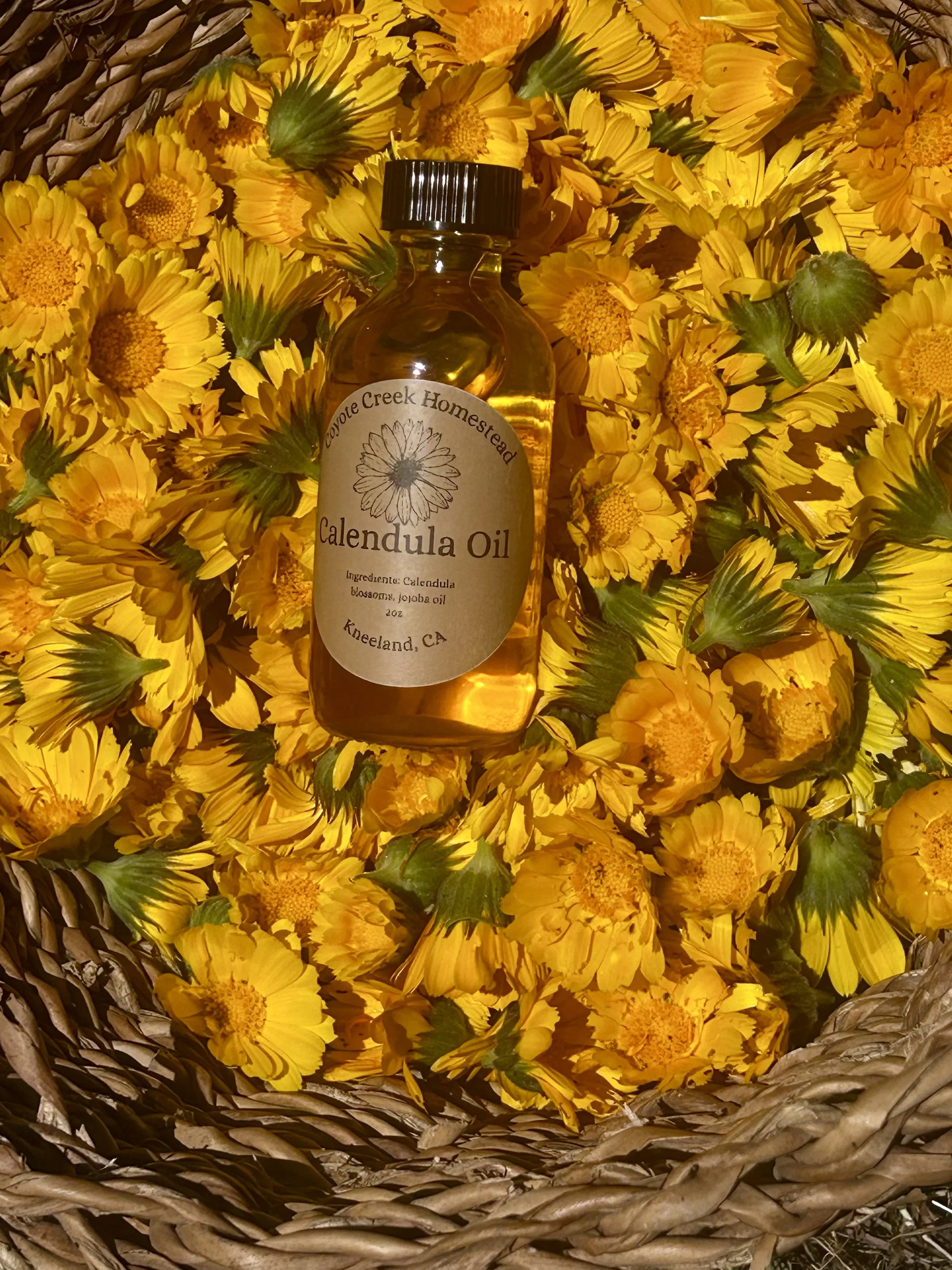 Calendula Oil