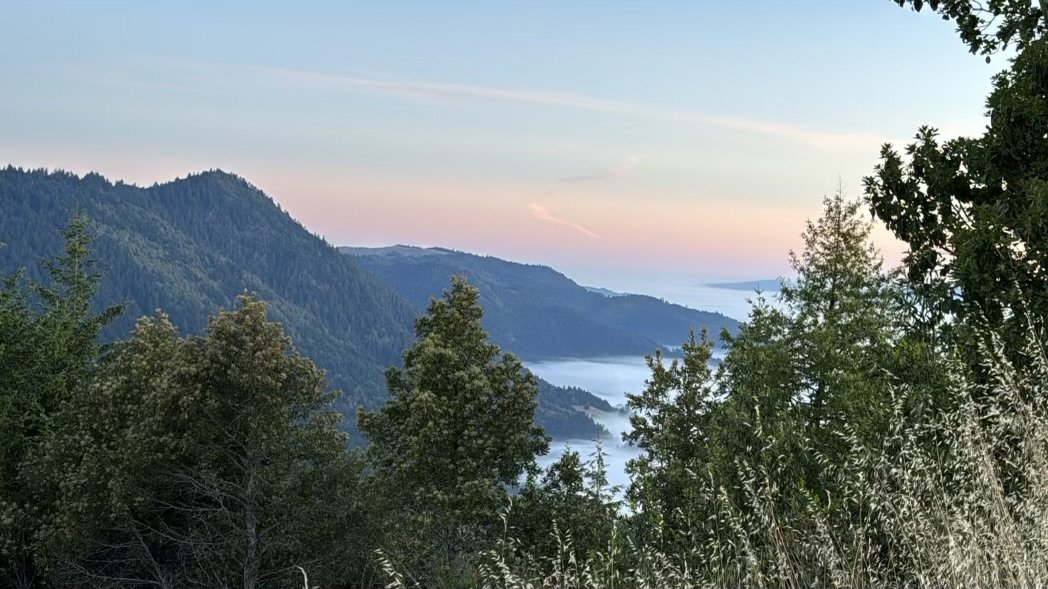 A scenic view of a mountain landscape with forested hills, a valley with fog, and a pastel-colored sky at sunrise or sunset.