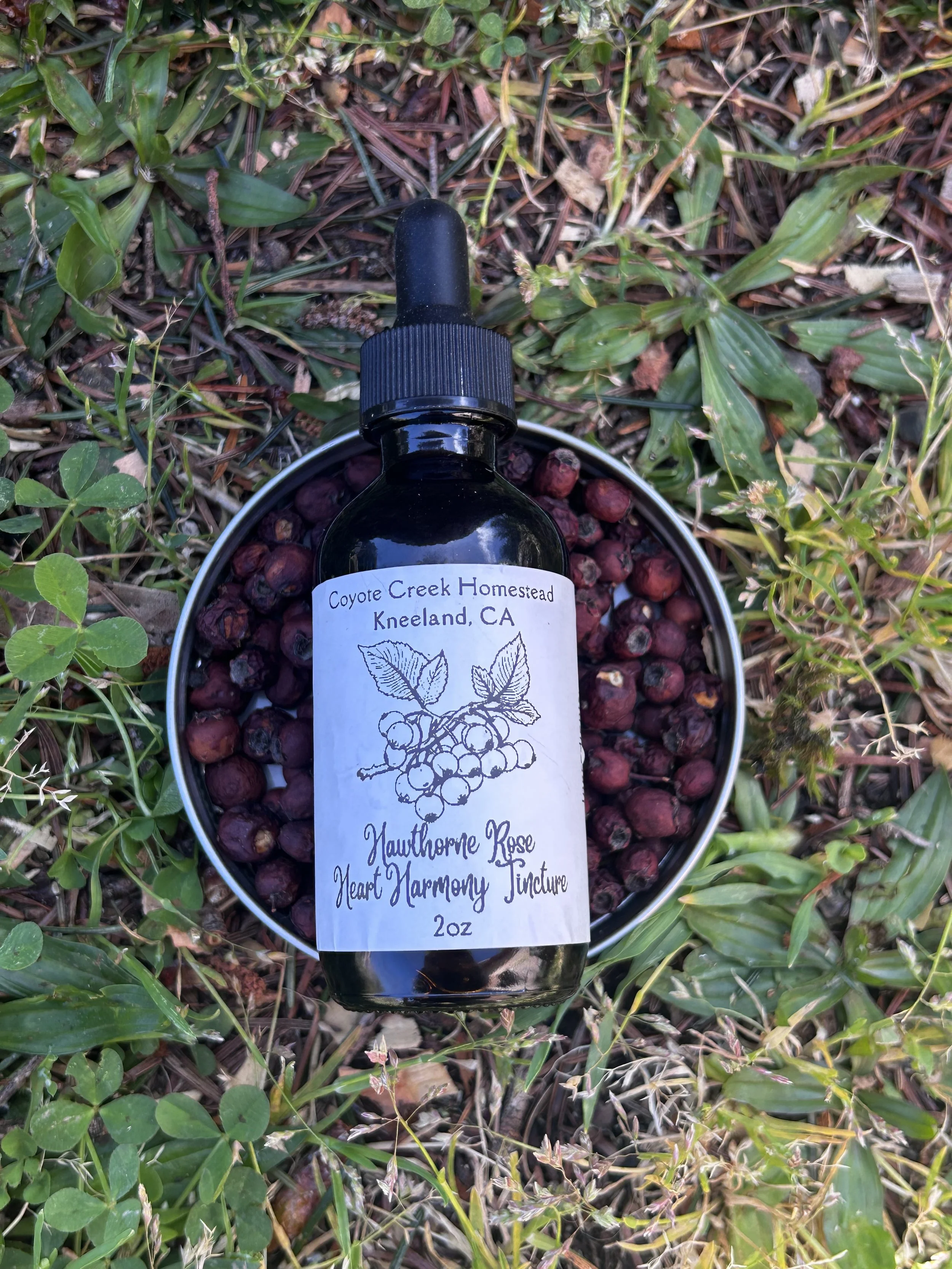 Hawthorne Rose ~ Heart Harmony Tincture