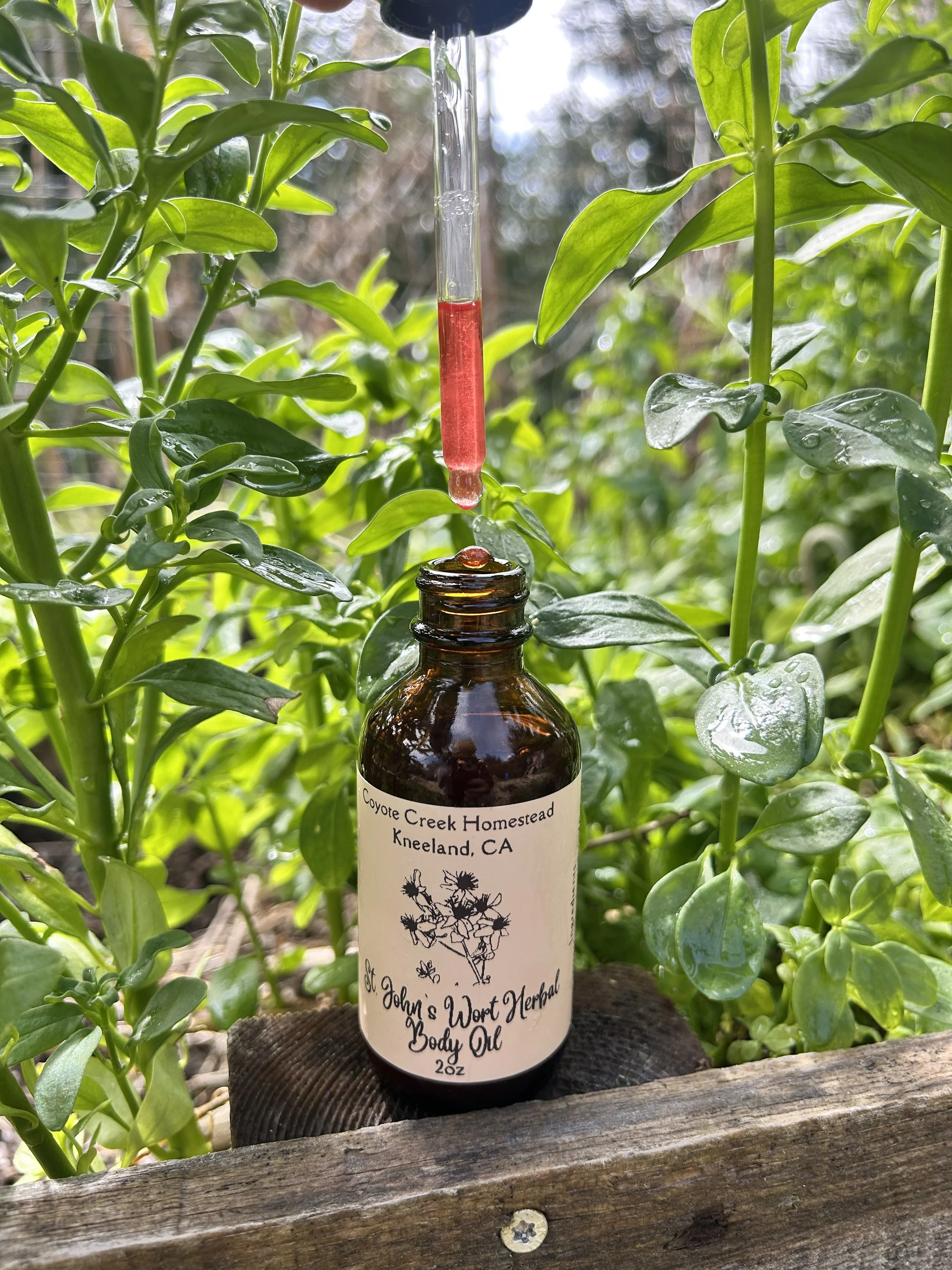 Saint John's Wort Herbal Body Oil