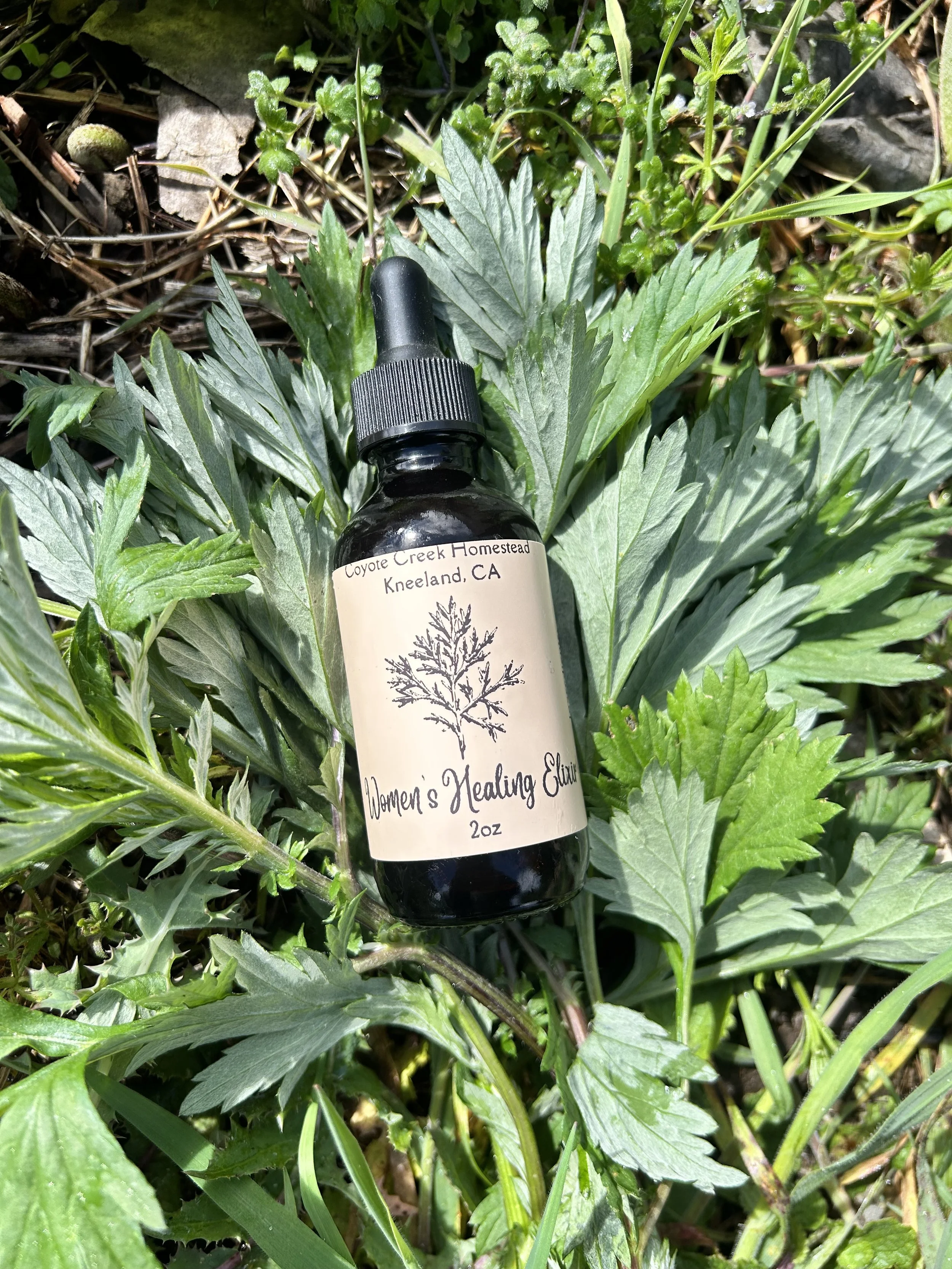 Women's Healing Elixir