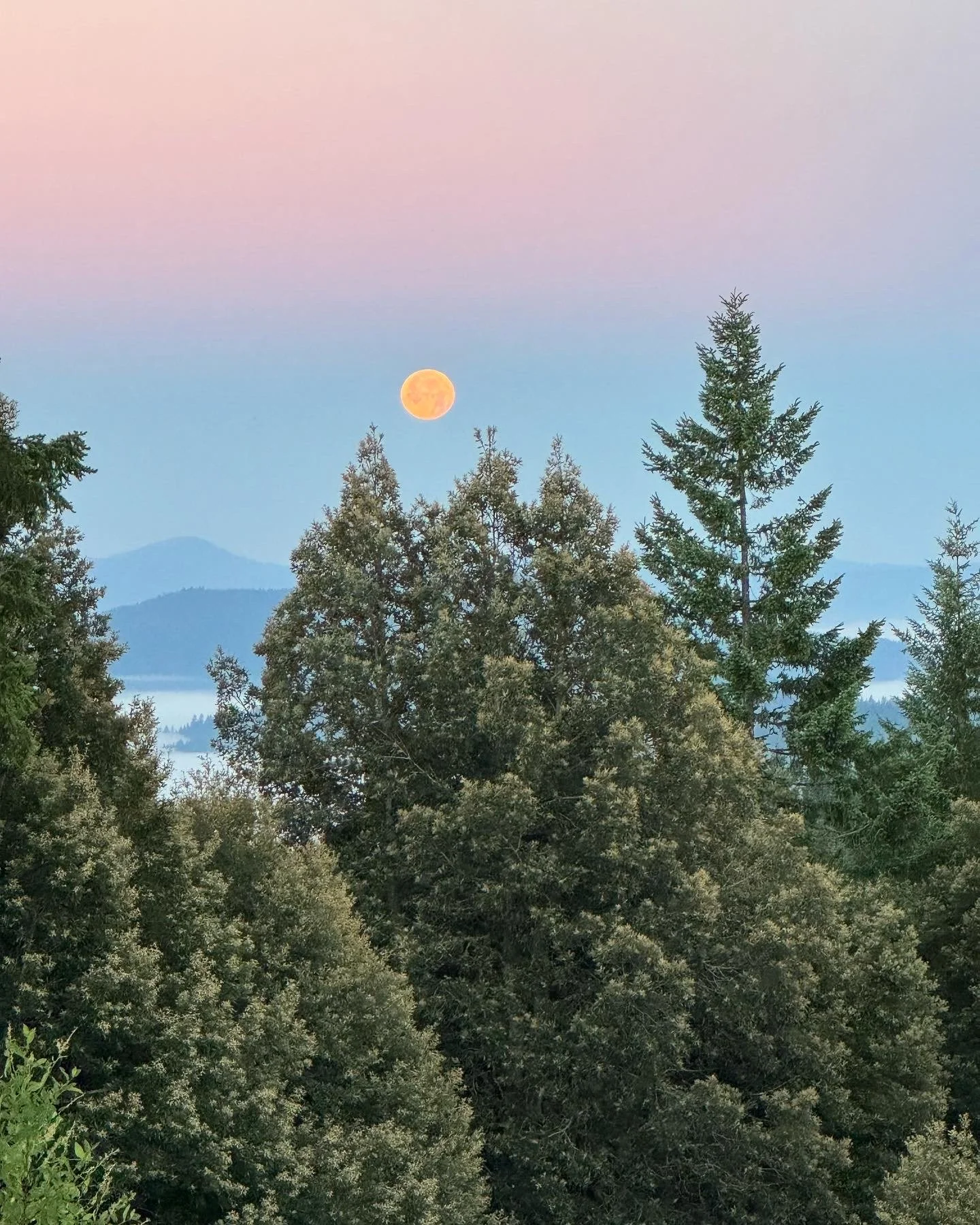 A scenic landscape with tall trees in the foreground, mountains in the distance, and a full moon in the sky during twilight with a pink and blue gradient.