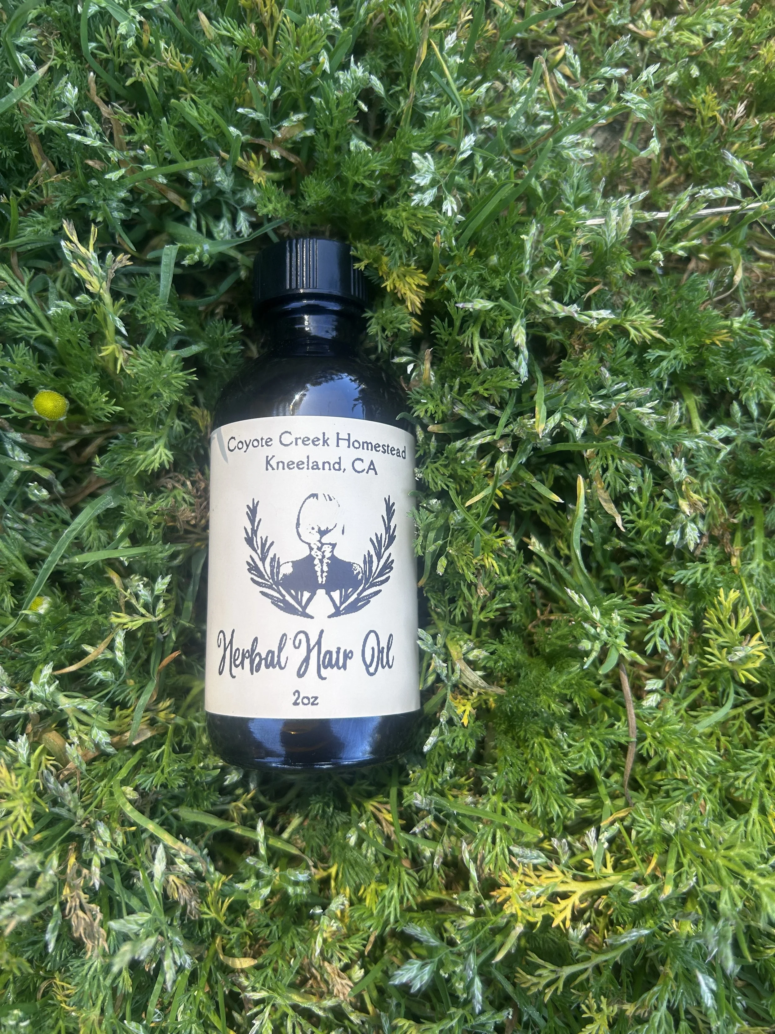 Herbal Hair Oil 2oz