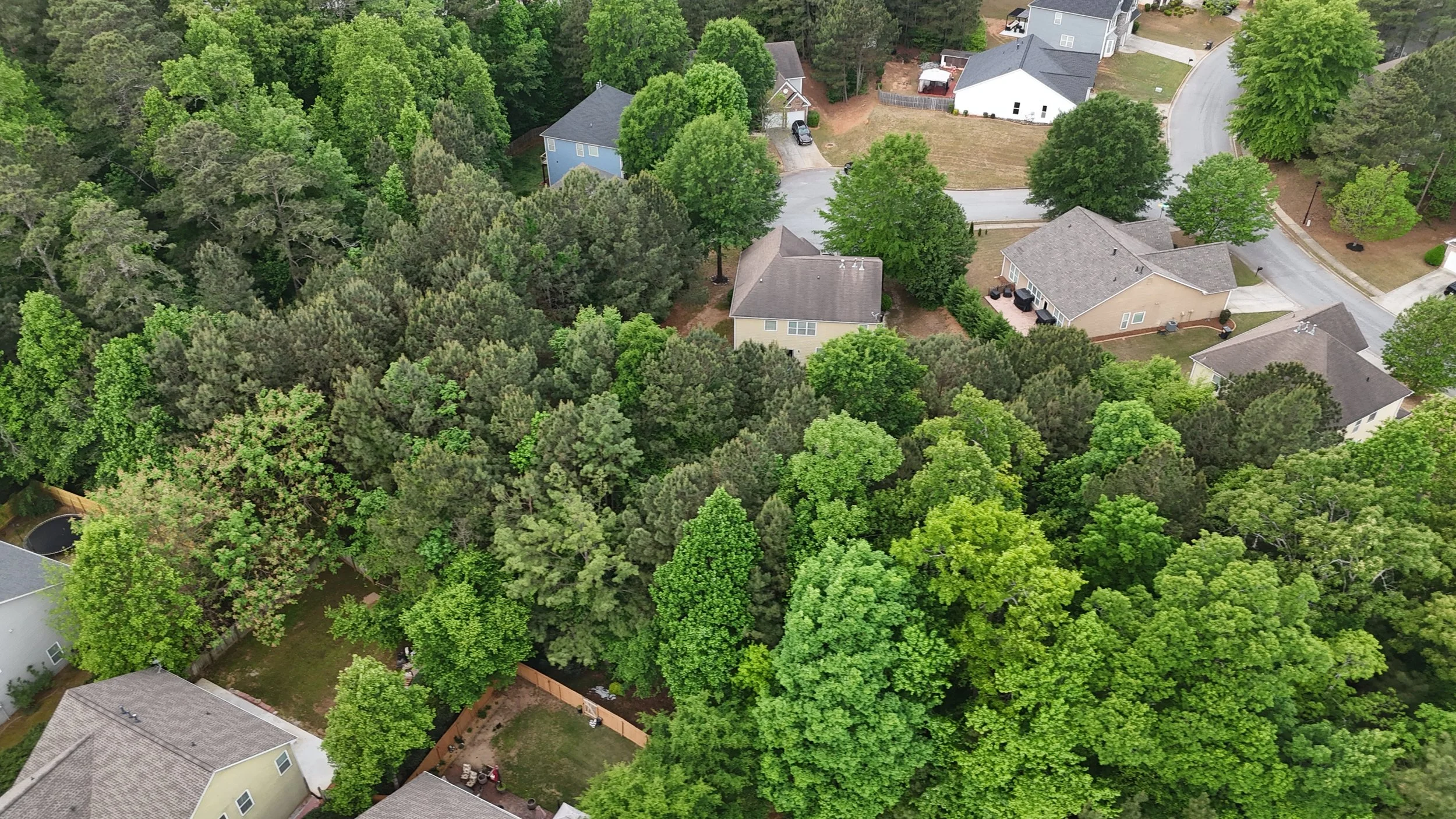 May 2026 Newsletter