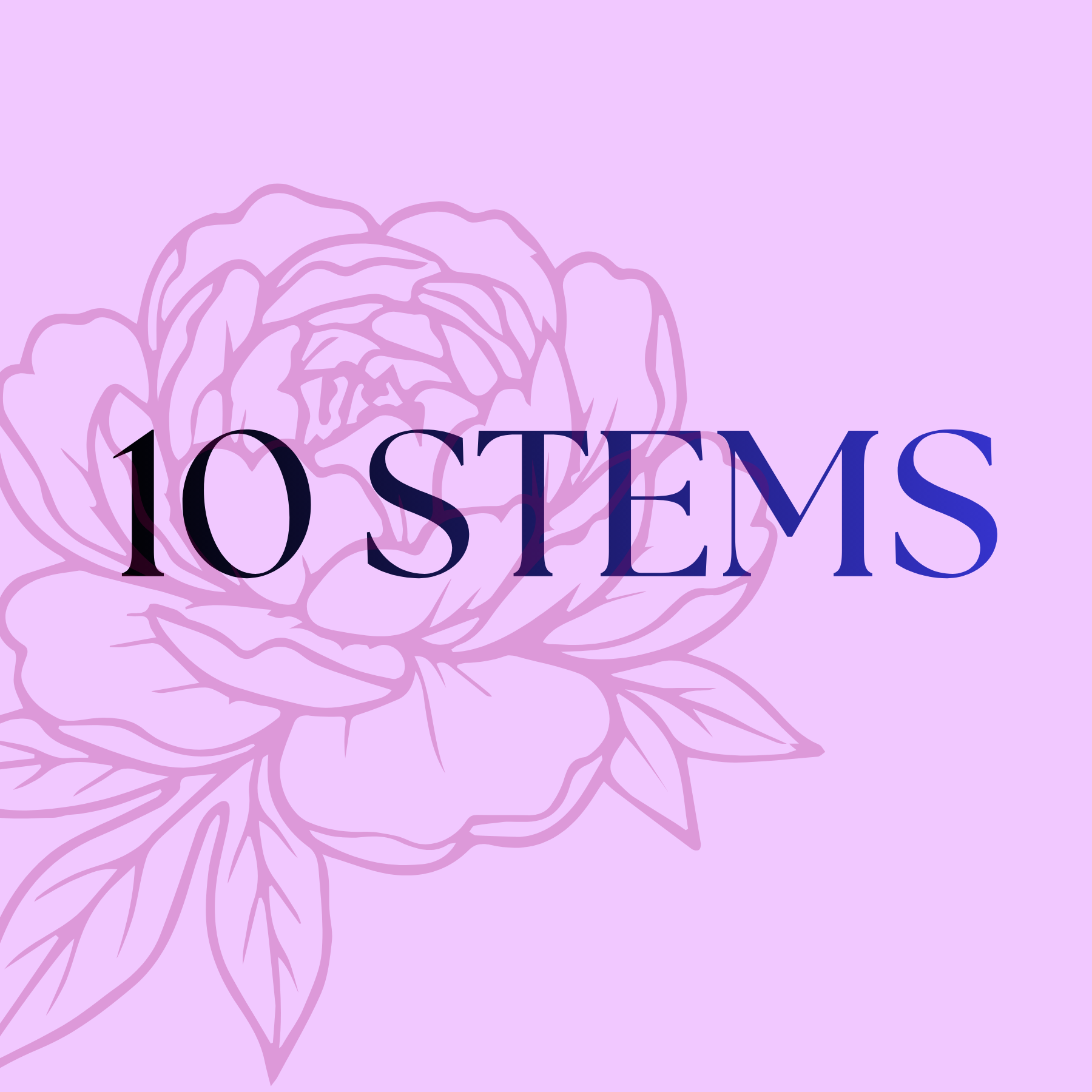 7 STEMS (900 x 900 px)-2.png