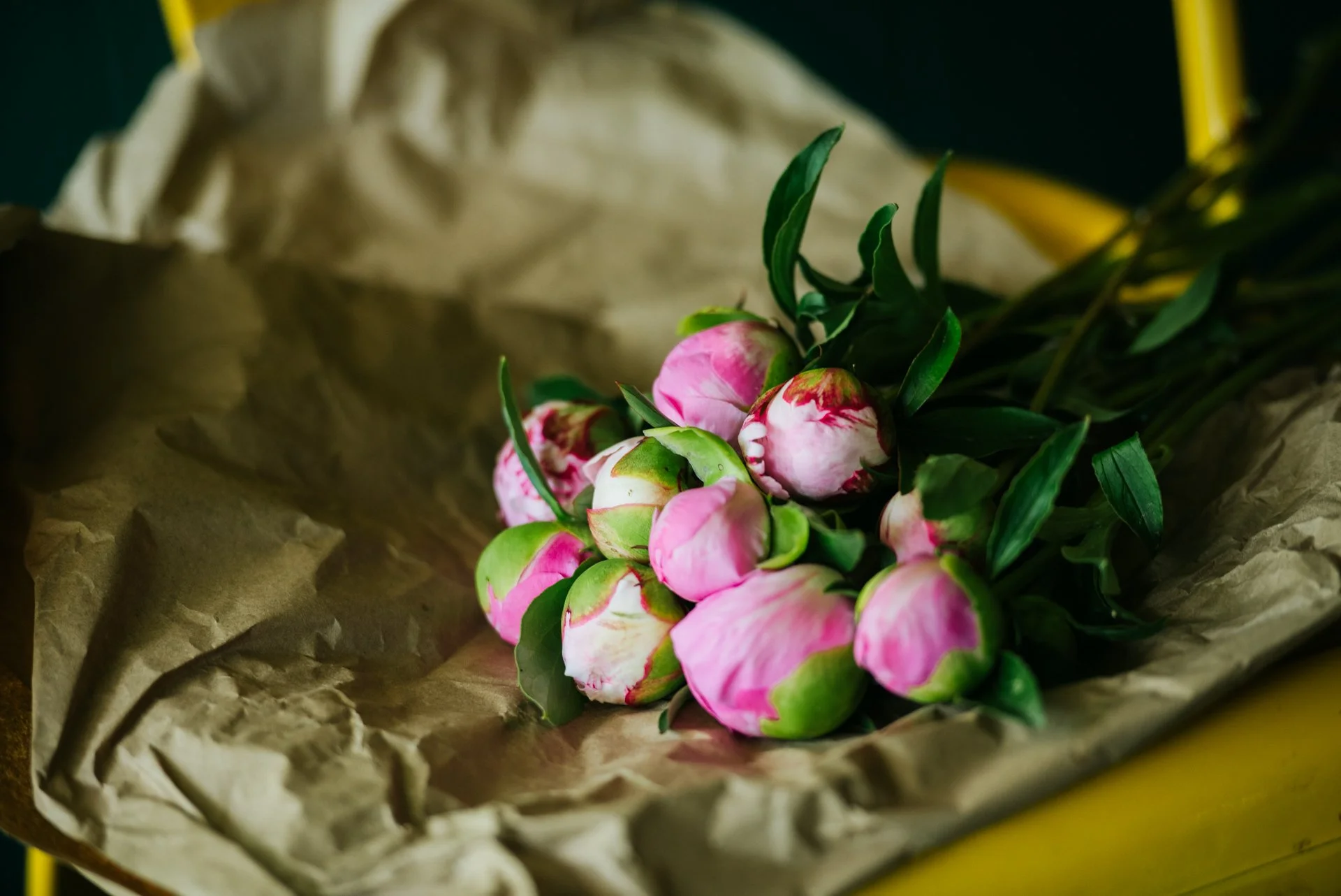 Peony Subscription – 7 Stems (4 Weeks)