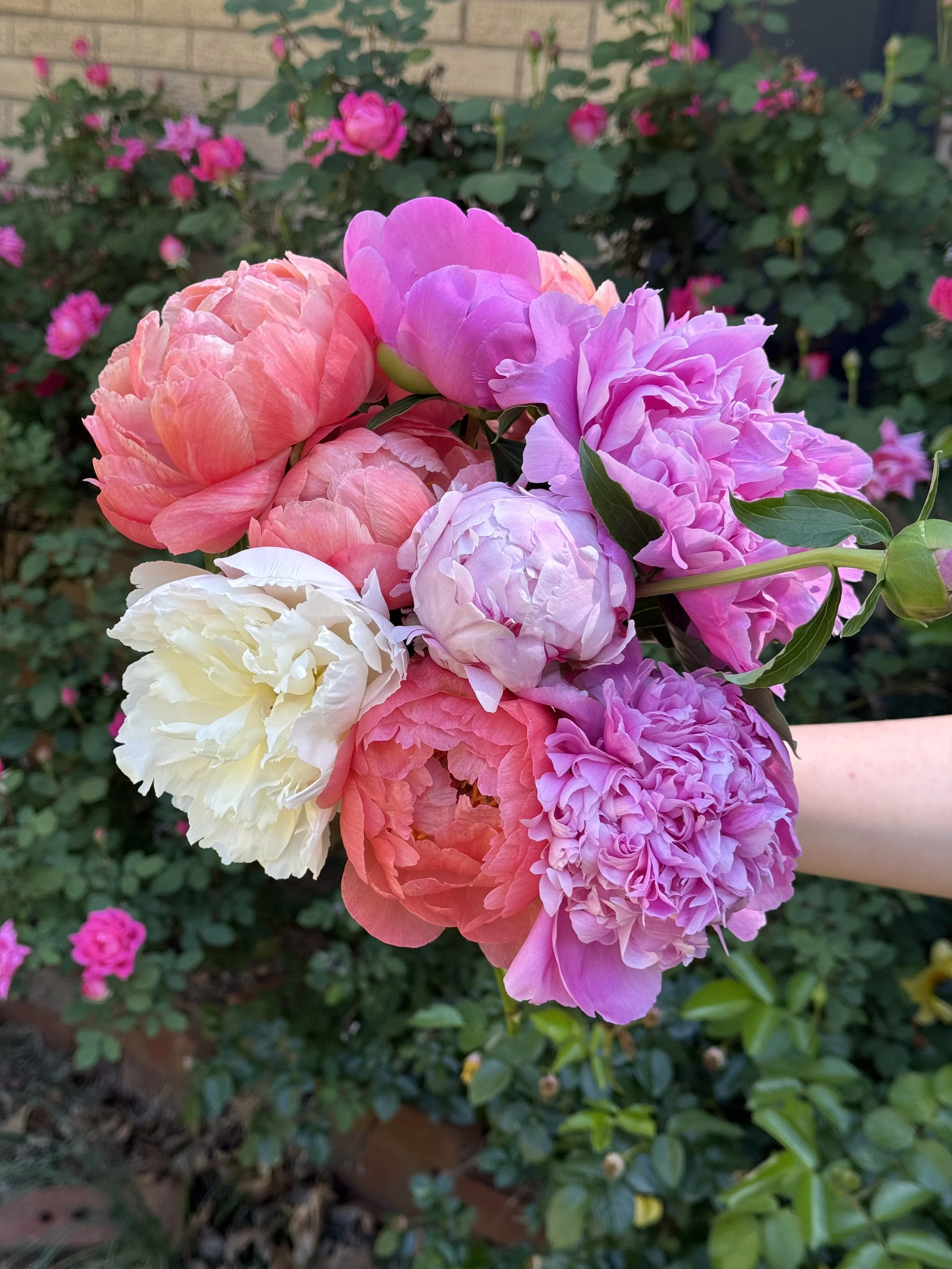 Peony Bouquet