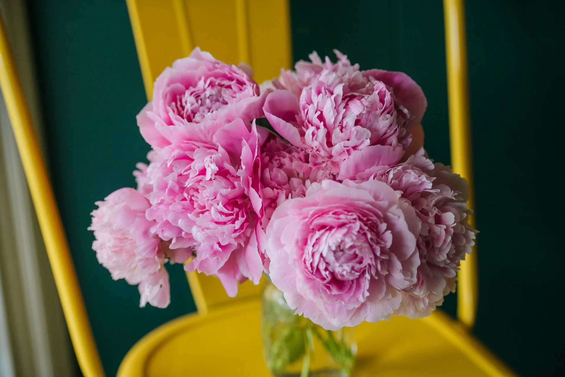 Peony Subscription – 10 Stems (4 Weeks) ⭐ (most popular)