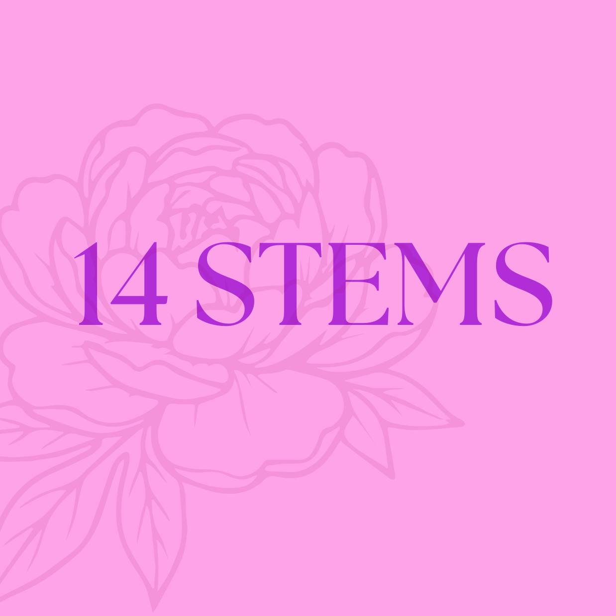 7 STEMS (900 x 900 px).png