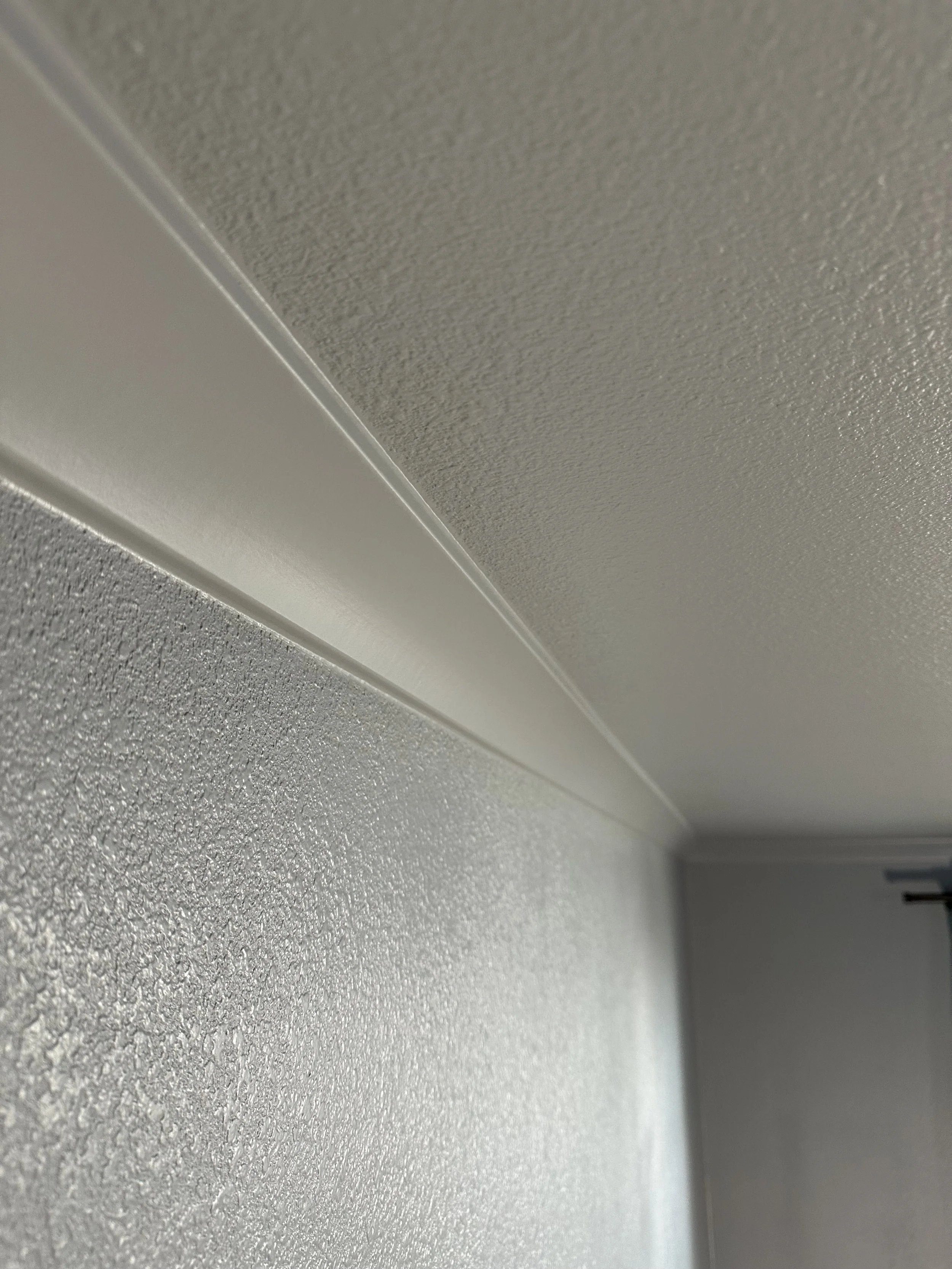 Close-up of ceiling corner showing textured white wall and ceiling with crown molding.